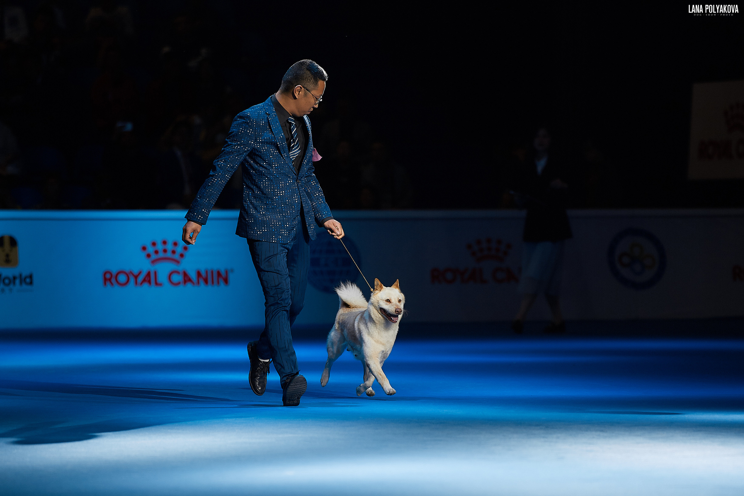 WDS 2019, China, Shanghai