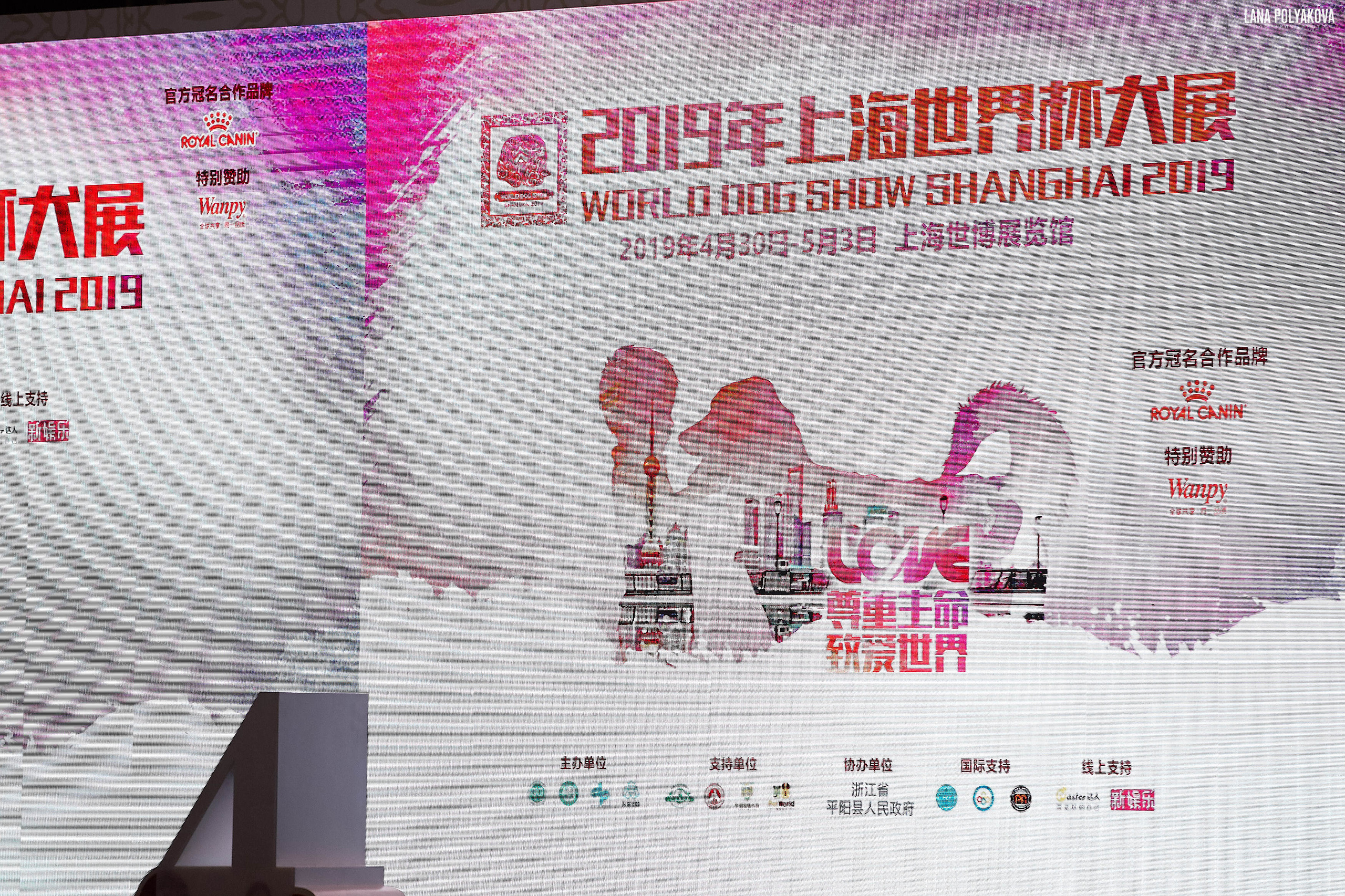 WDS 2019, China, Shanghai