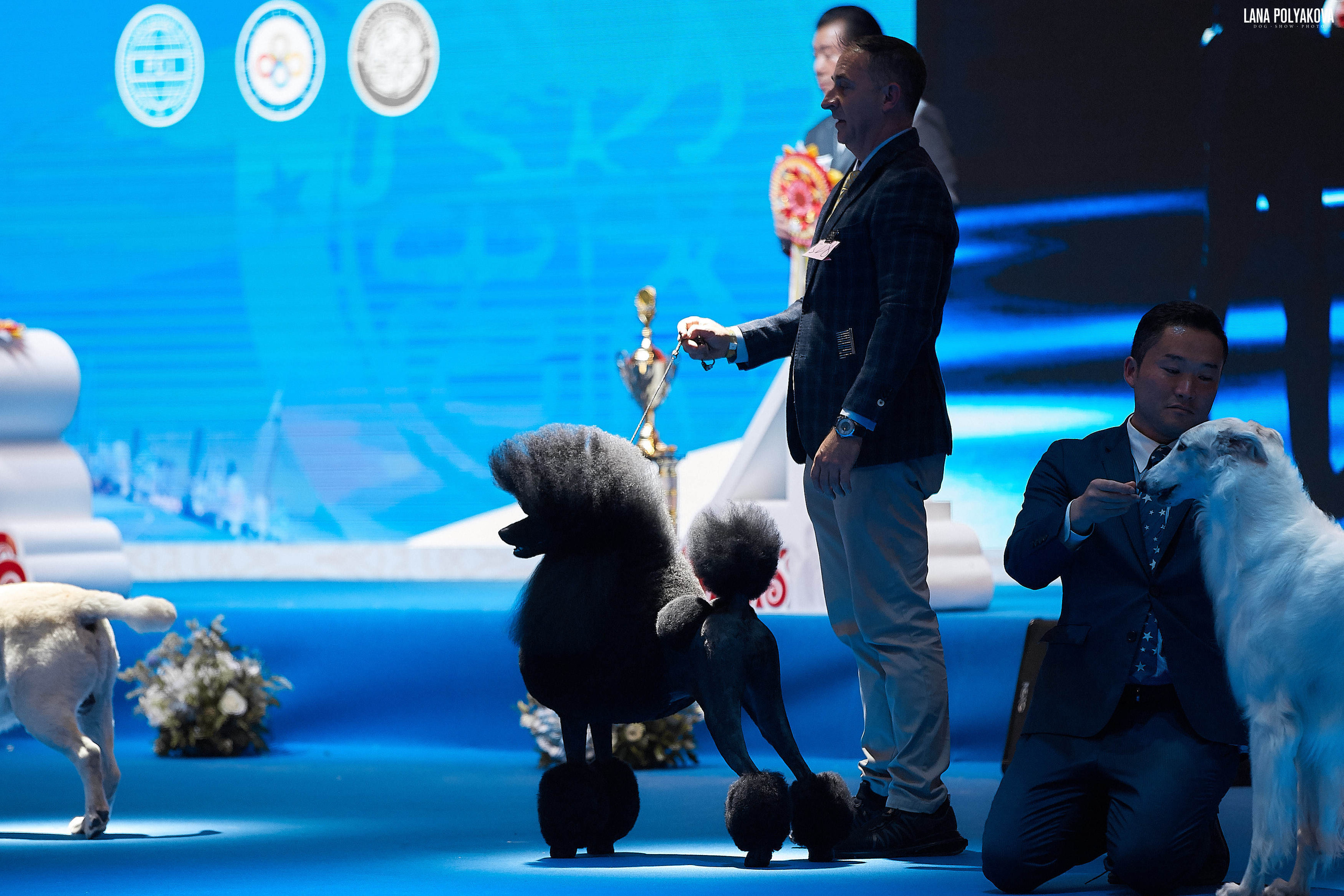 WDS 2019, China, Shanghai