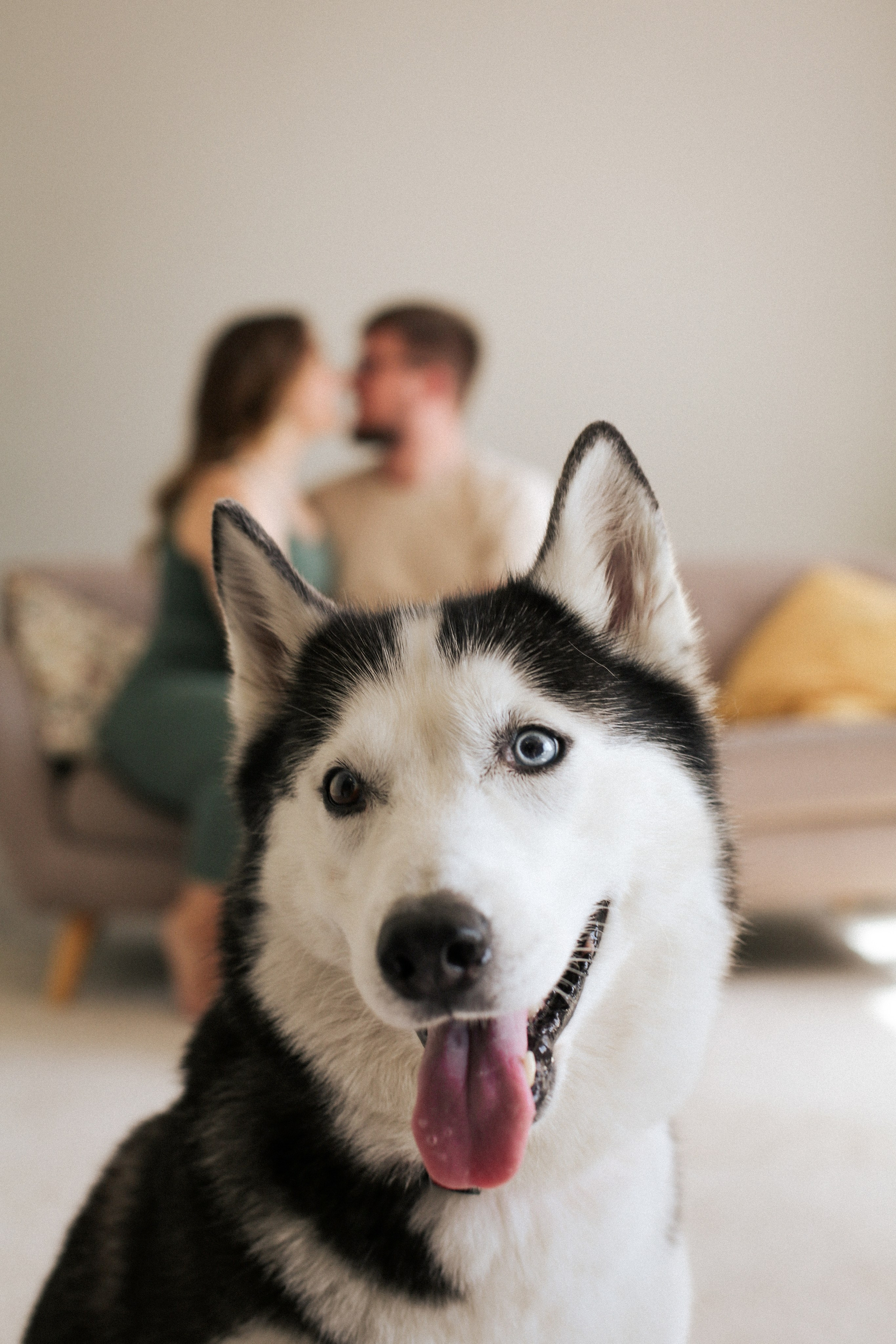 Владимир и Владлена. Фотограф Julia Milton | Портреты, съемки для маркетплейсов, лавстори, съёмка беременности в Санкт-Петербурге. Обучение фотографии в Спб очно