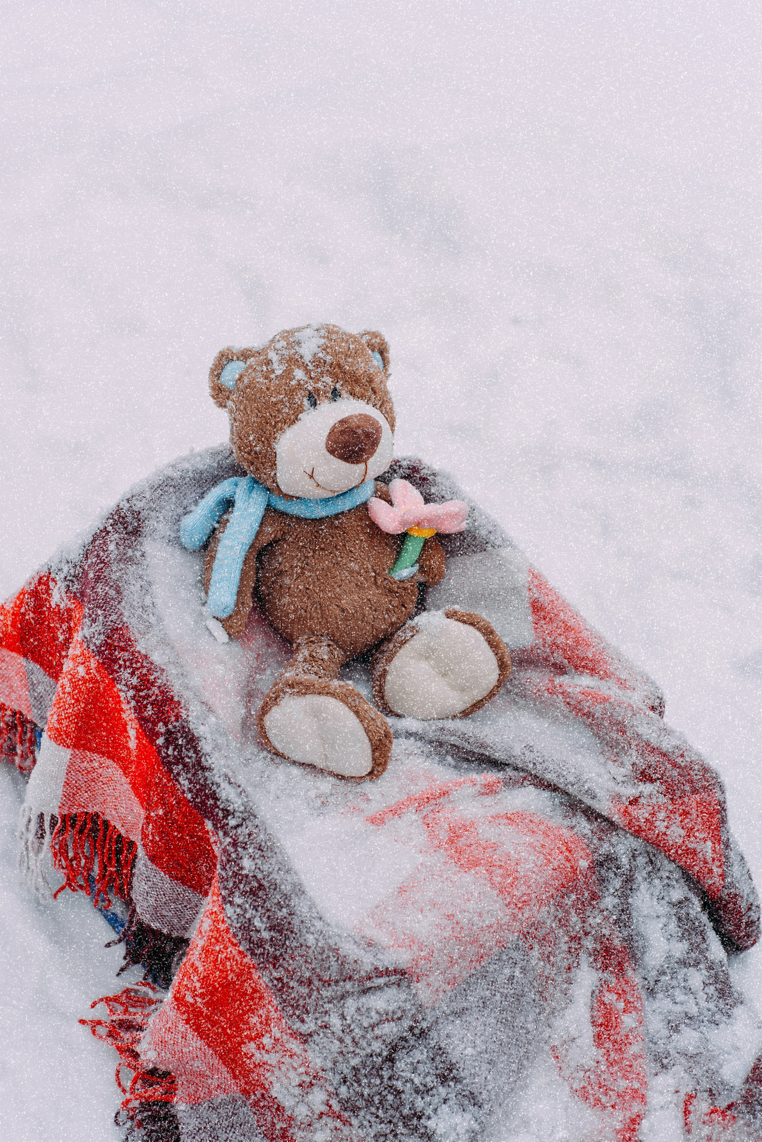 София и Андрей. Детский и семейный фотограф Эльмира Веселова