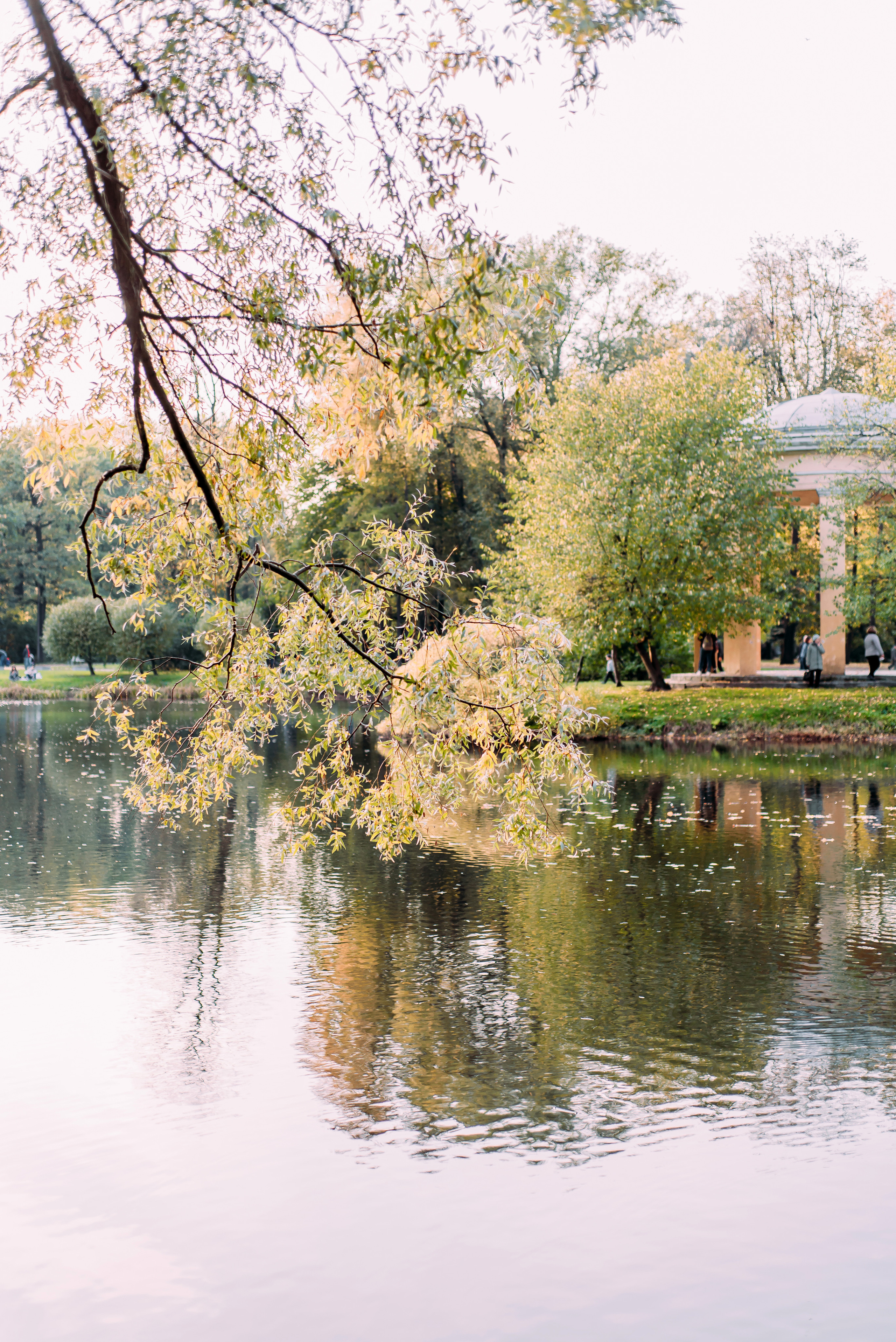 Лариса и Сергей. Осень. Детский и семейный фотограф Эльмира Веселова