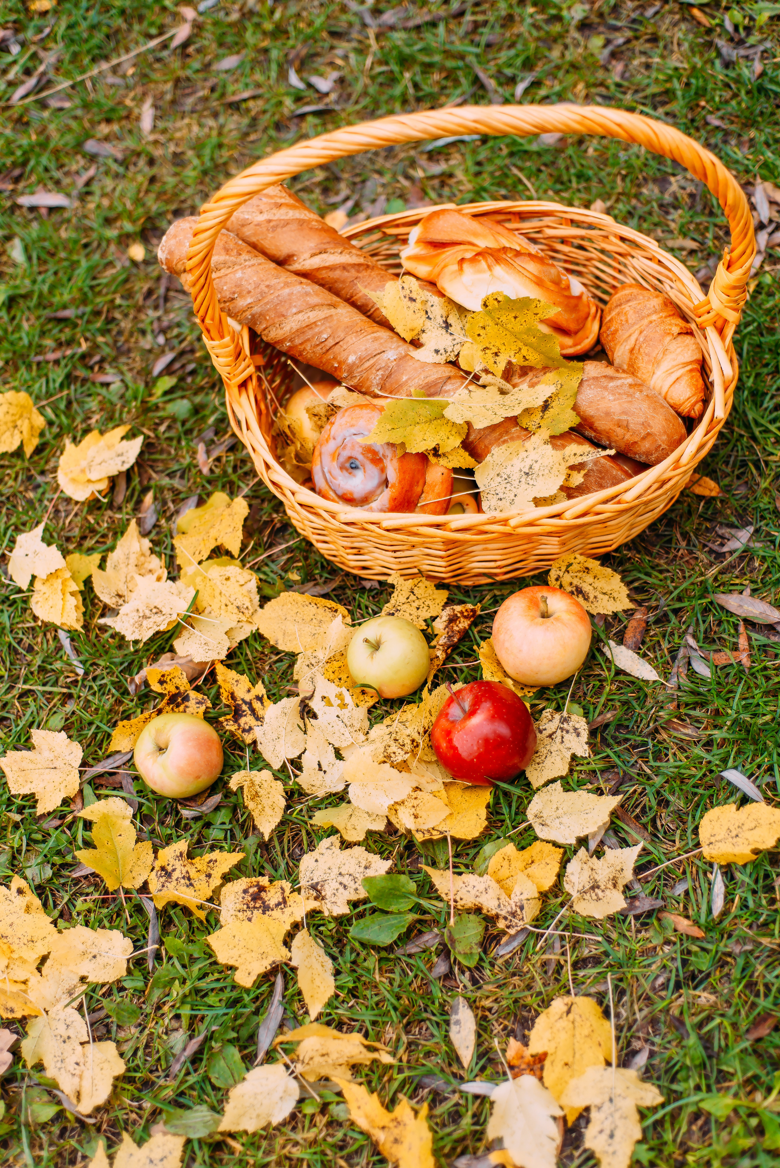 Никита. Детский и семейный фотограф Эльмира Веселова