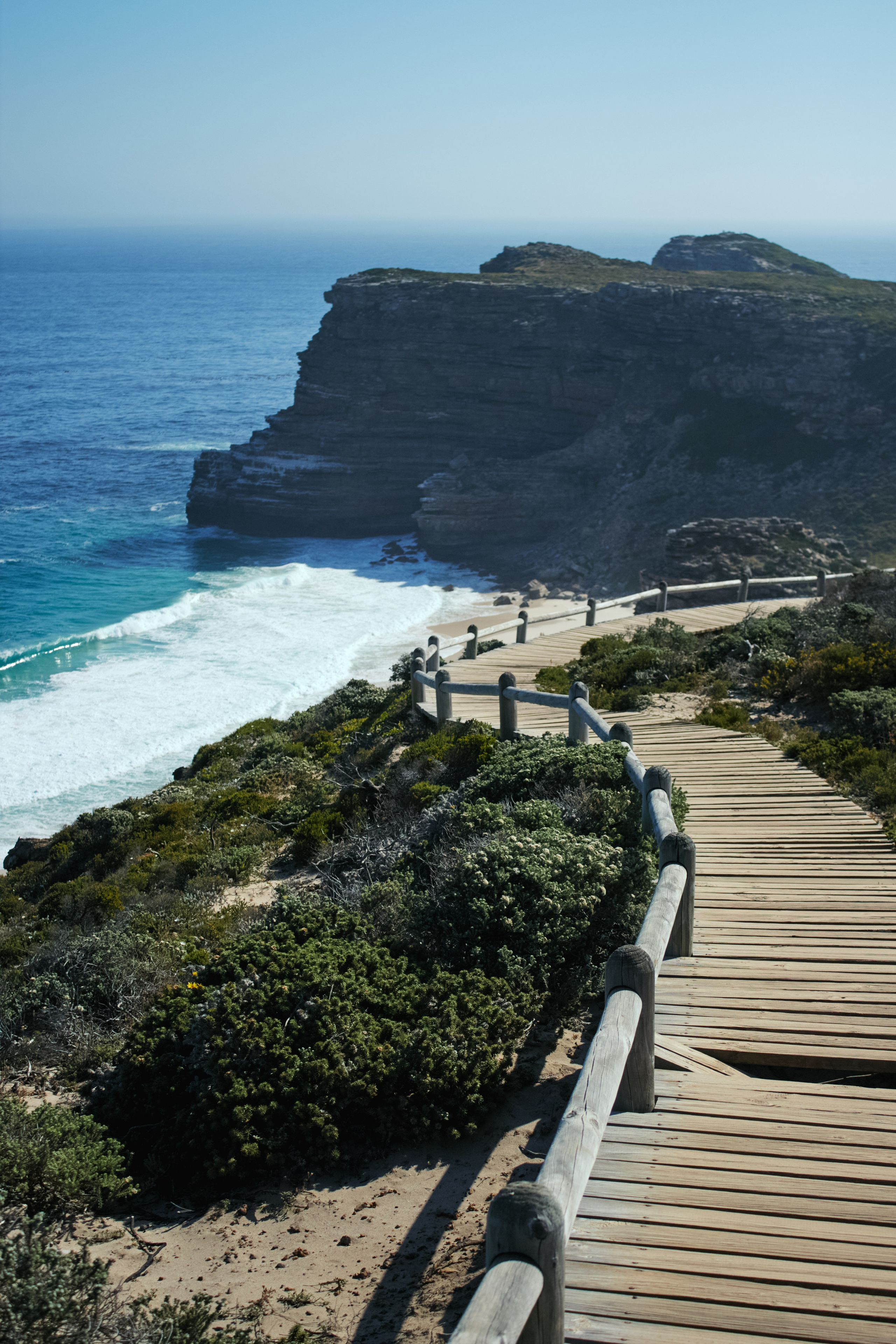 ЮАР. Профессиональный Фотограф во Владимире, в Москве и в Суздале — Полина Романычева