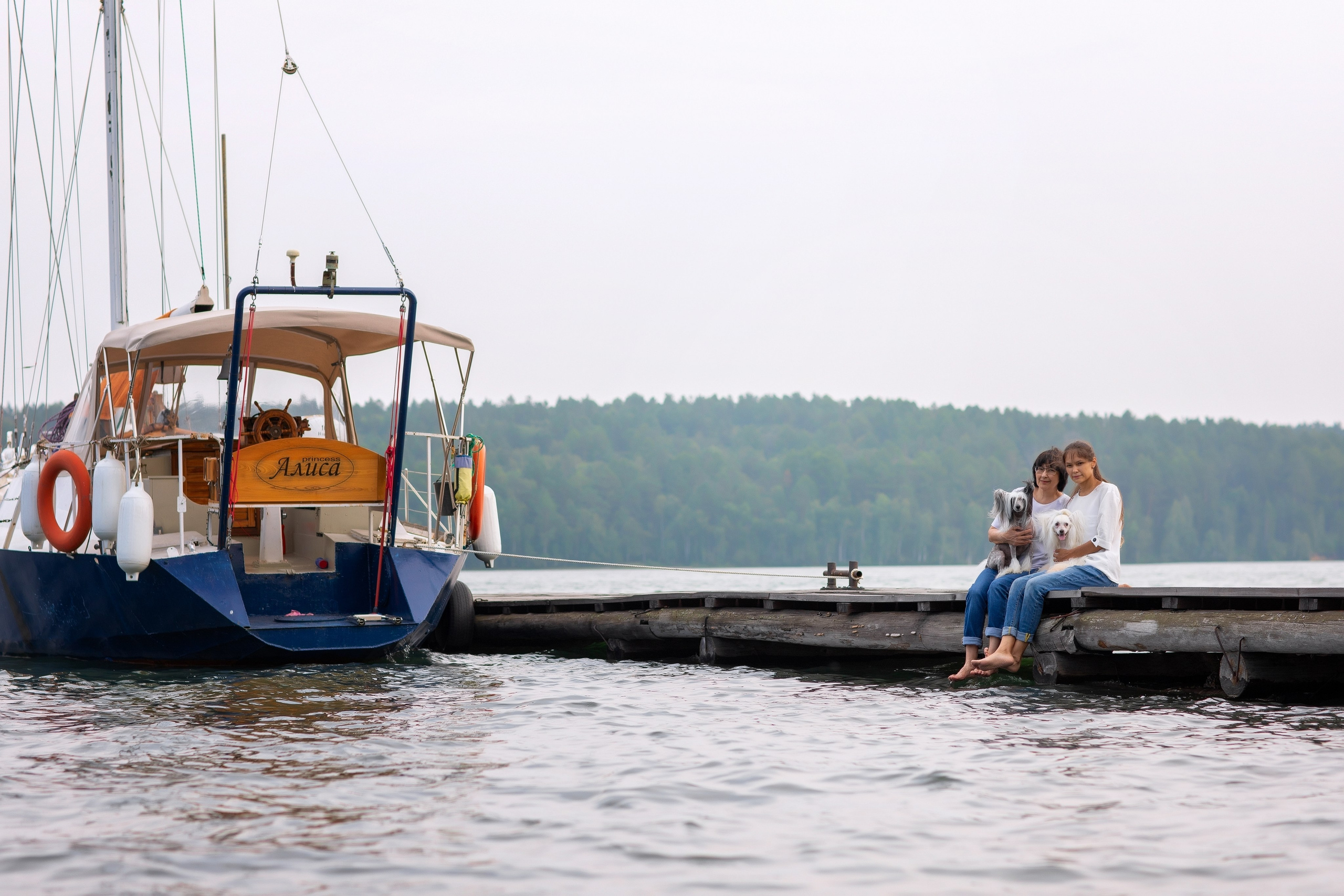 Фотопрогулка. Фотограф для Вашей собаки
