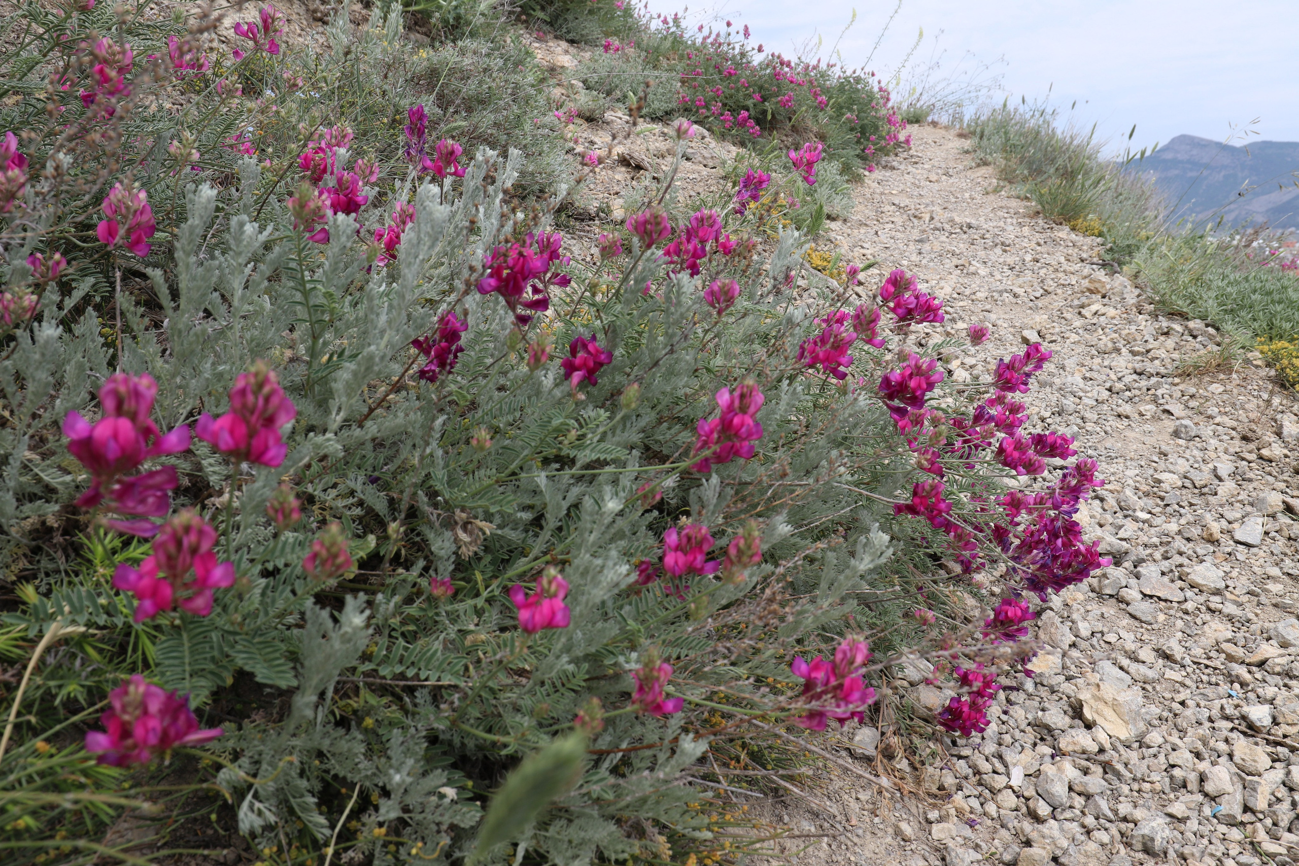 Крым. ЮБК (Бахчисарай, Демерджи, Судак). Первый скалолазный выезд. Май 2019. Путешественник-фотограф из Санкт-Петербурга Татьяна Свистулина