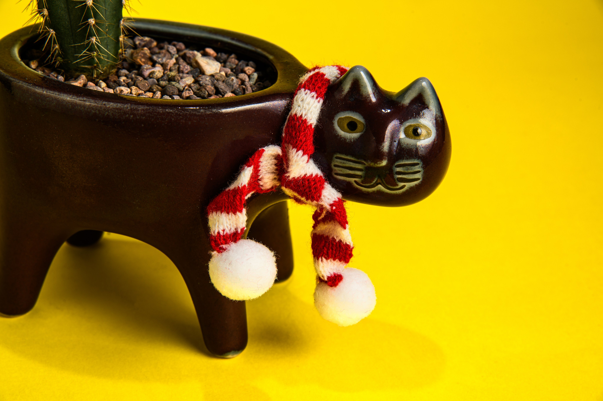 KAKTUS.KZ. Фотограф в Алматы Артемий Матюнин