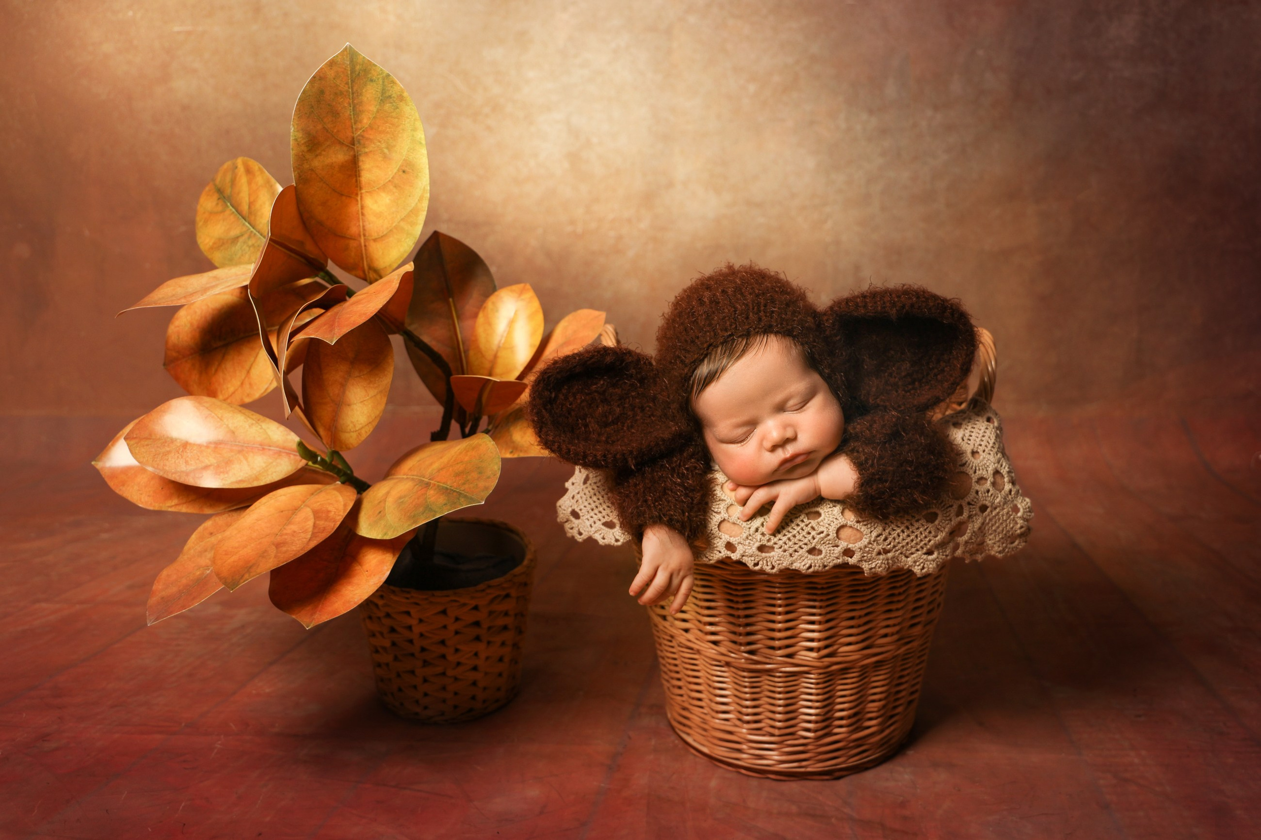 Новорожденные мальчики. Фотограф новорожденных в г. Великий Новгород — Екатерина Новикова