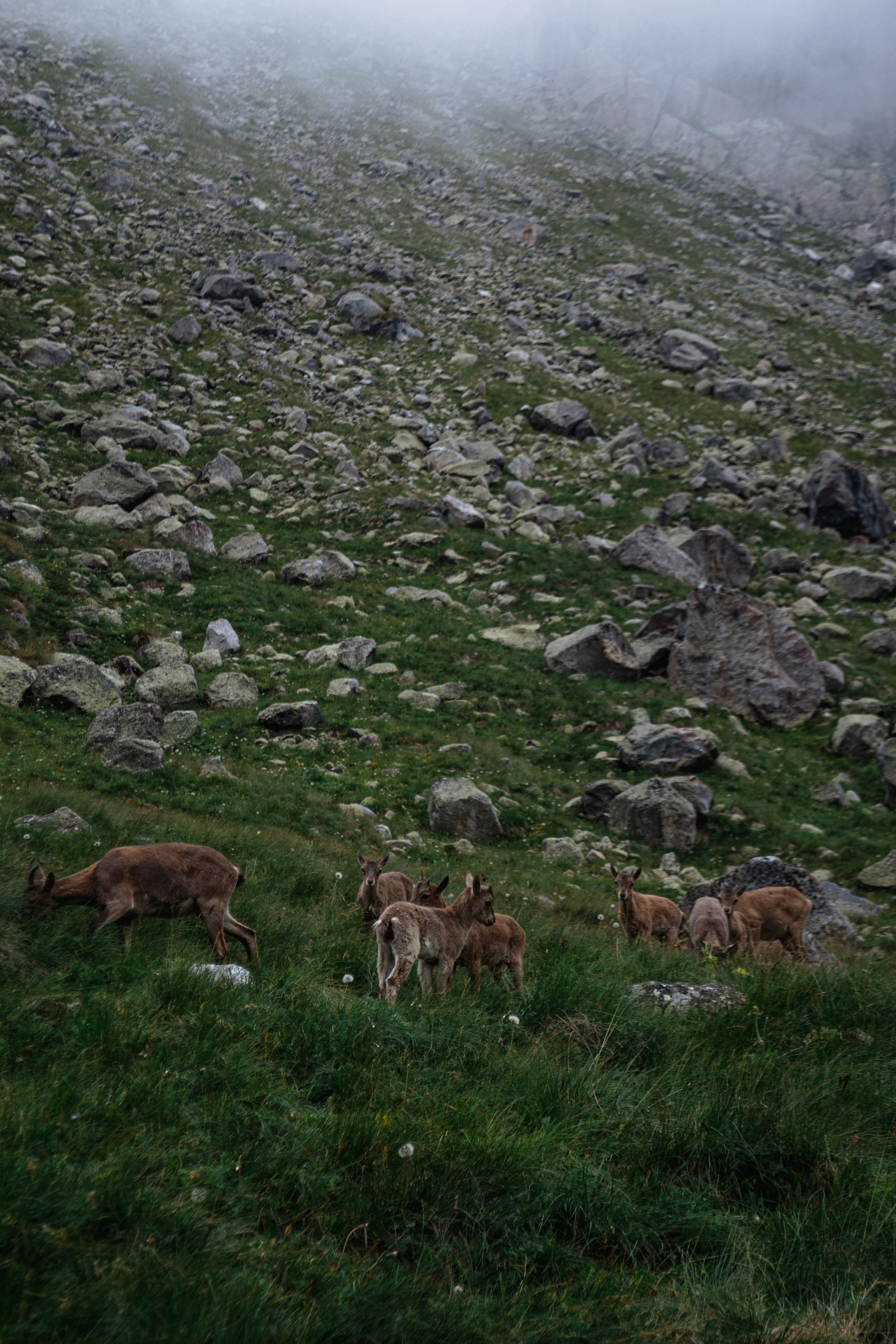 Безенги. Туры, путешествия, восхождения