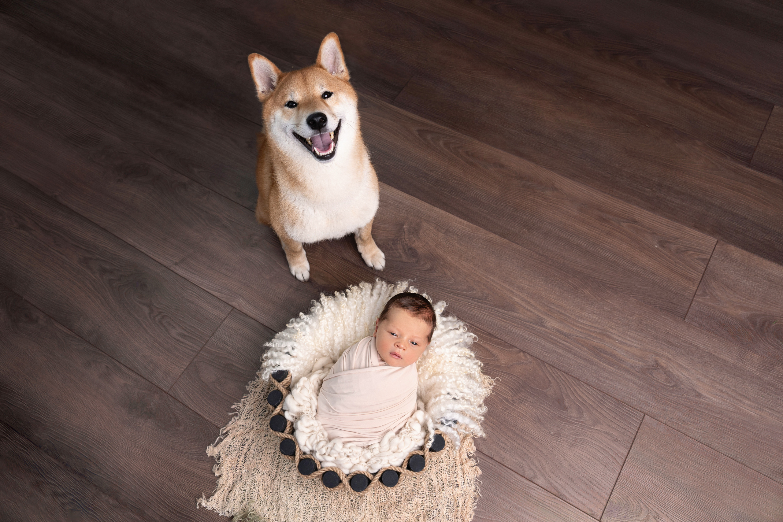 Новорожденные. Фотограф новорожденных