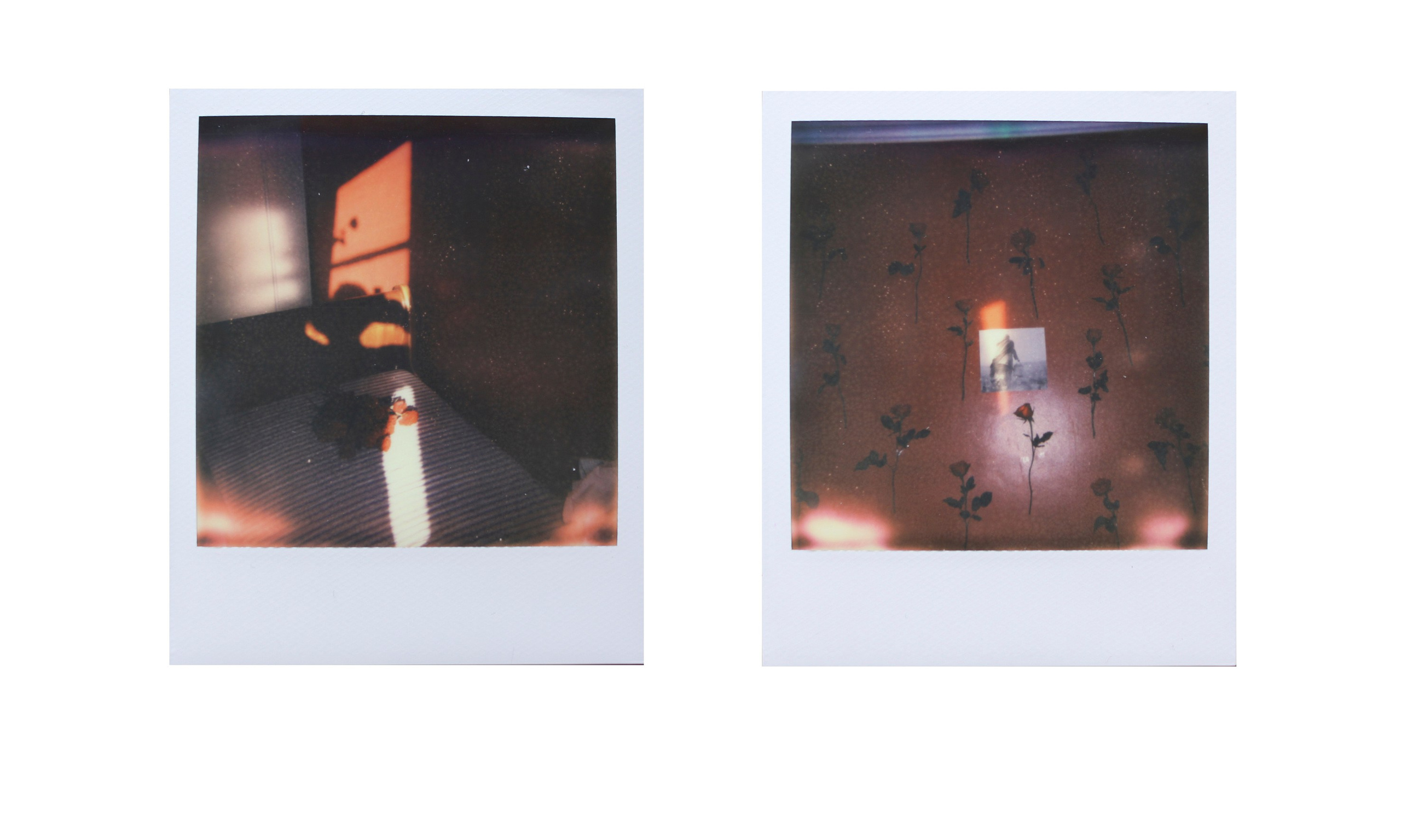 Syntagma. Katya Zimina, film photographer