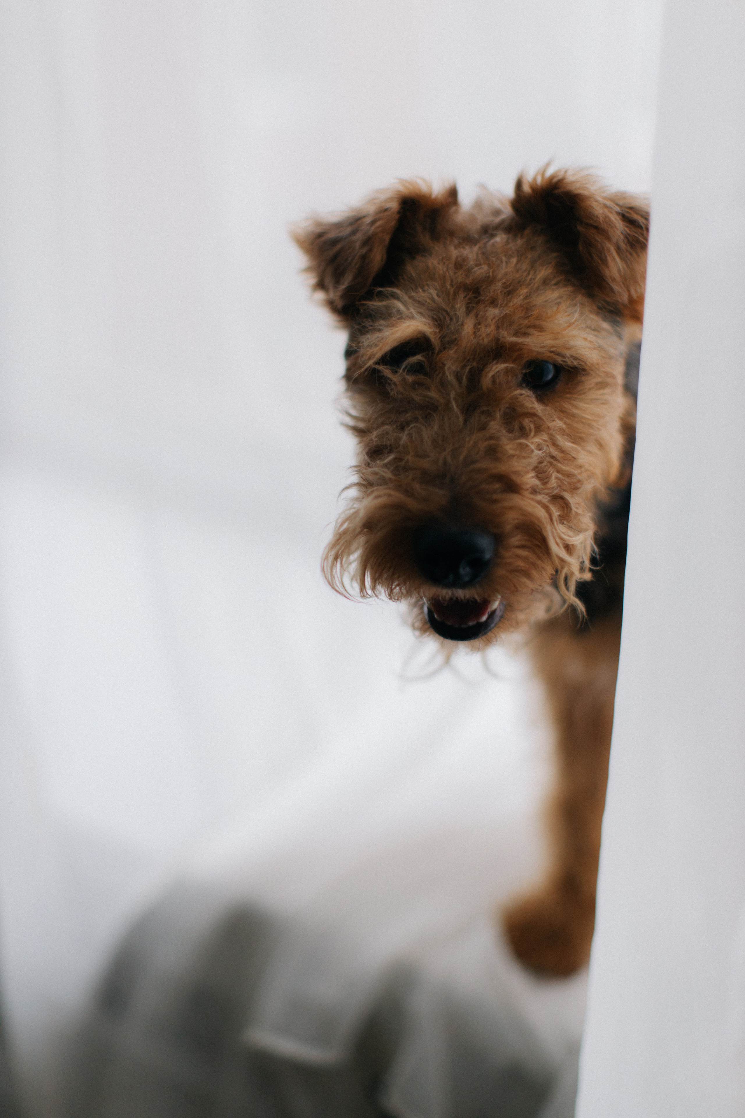 В студии. Свадебный и семейный фотограф Скрынник Светлана