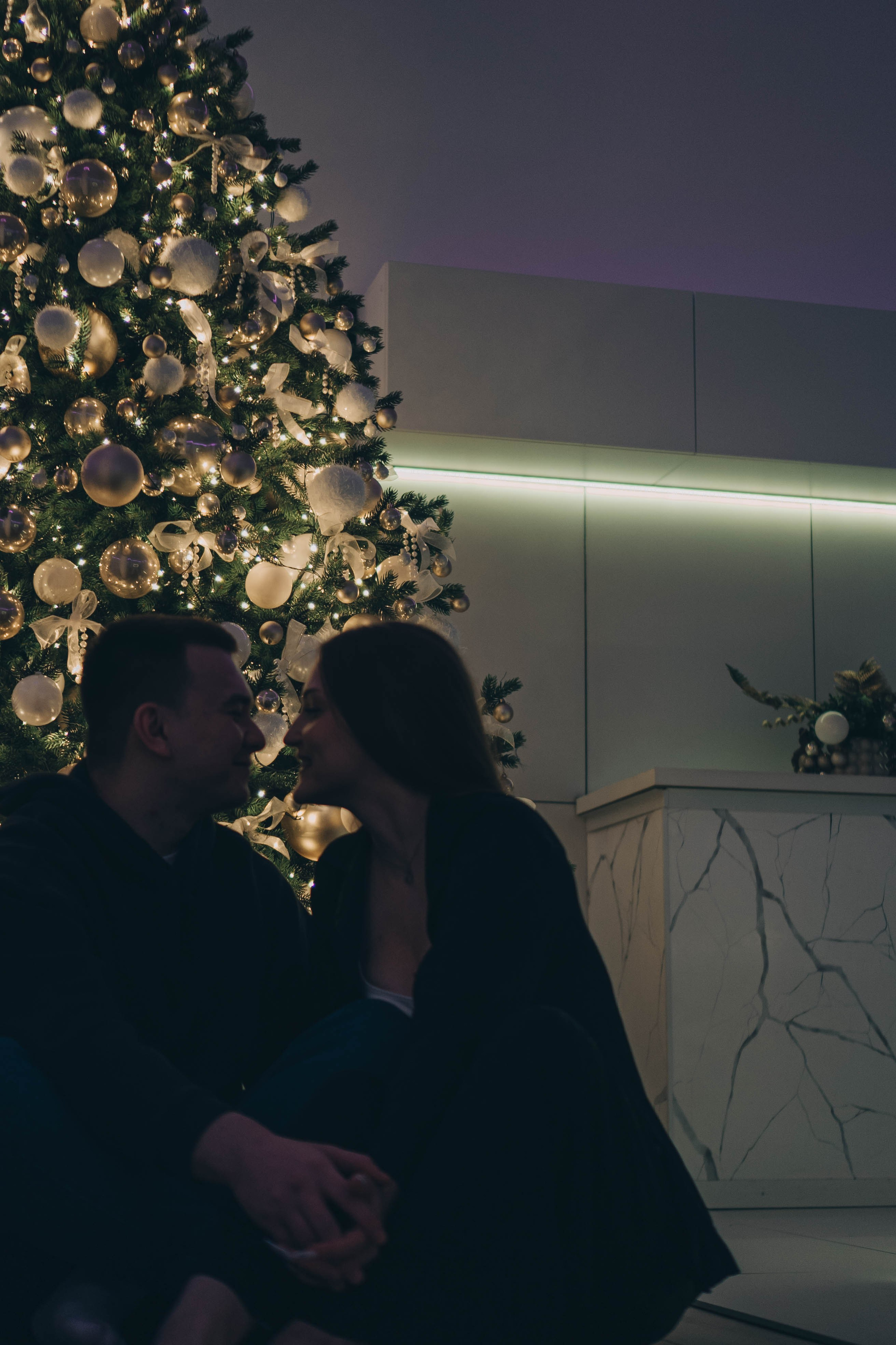 Новогодняя. Профессиональный фотограф, Санкт-Петербург — Виктория Богомолова