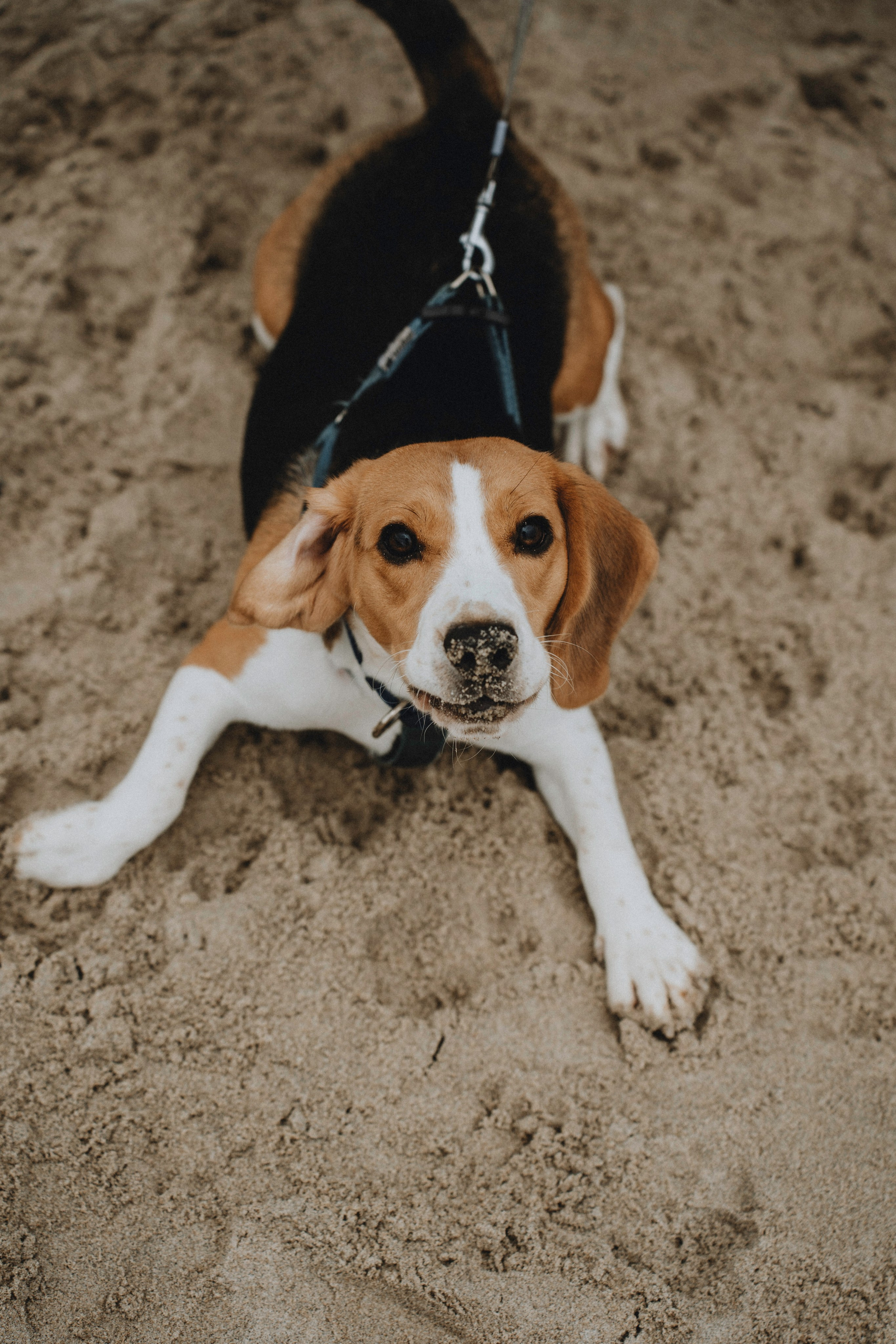 Кристина. Фотограф в Калининграде Дмитрий Мишин