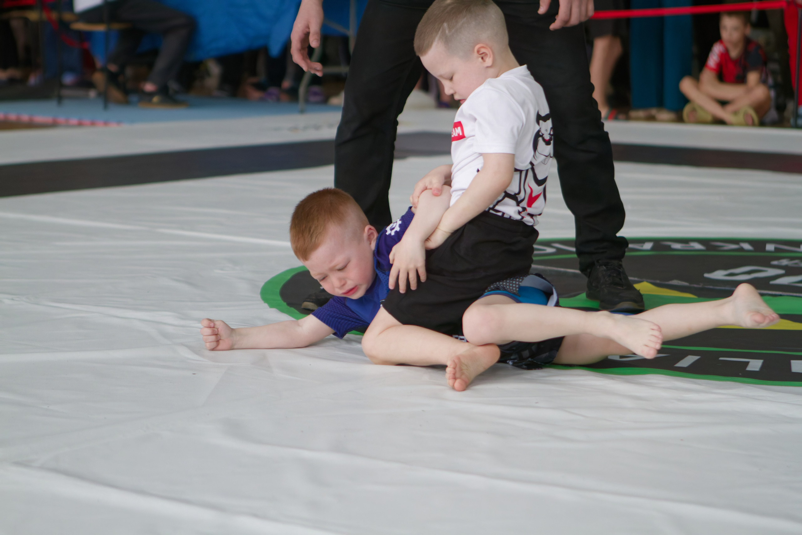 Борьба. Джиу-джитсу 26.04.2025. Репортажный и спортивный фотограф в г. Пермь Зильберг Павел