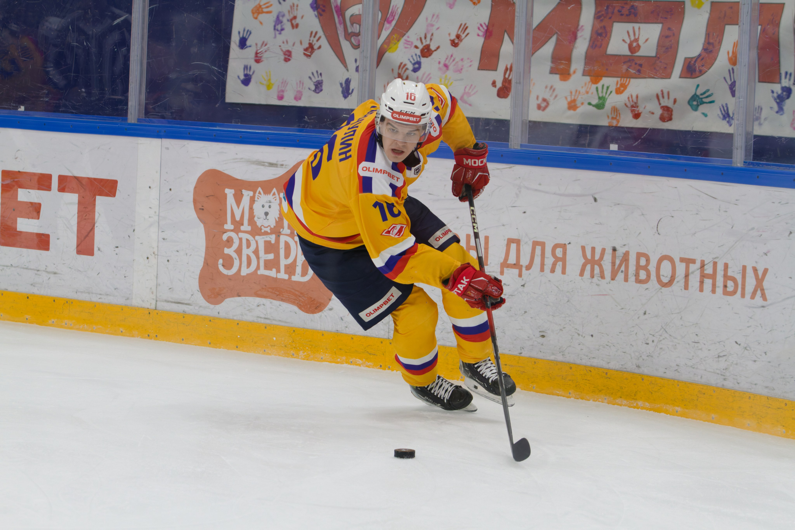 Хоккей. Молот-Химик 12.02.2025. Репортажный и спортивный фотограф в г. Пермь Зильберг Павел