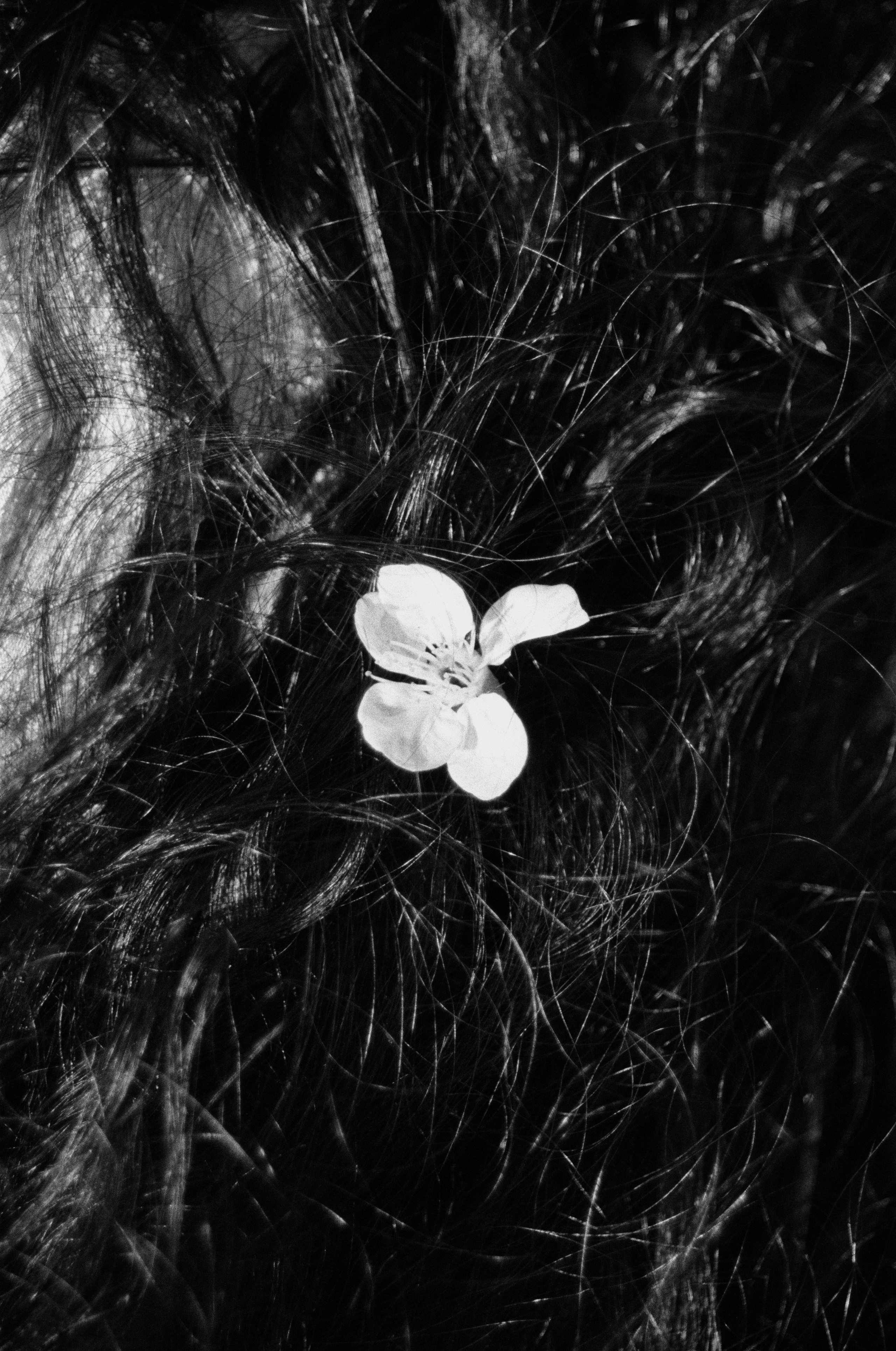 Плёнки. Портретный фотограф в Санкт-Петербурге Диана Аксёнова