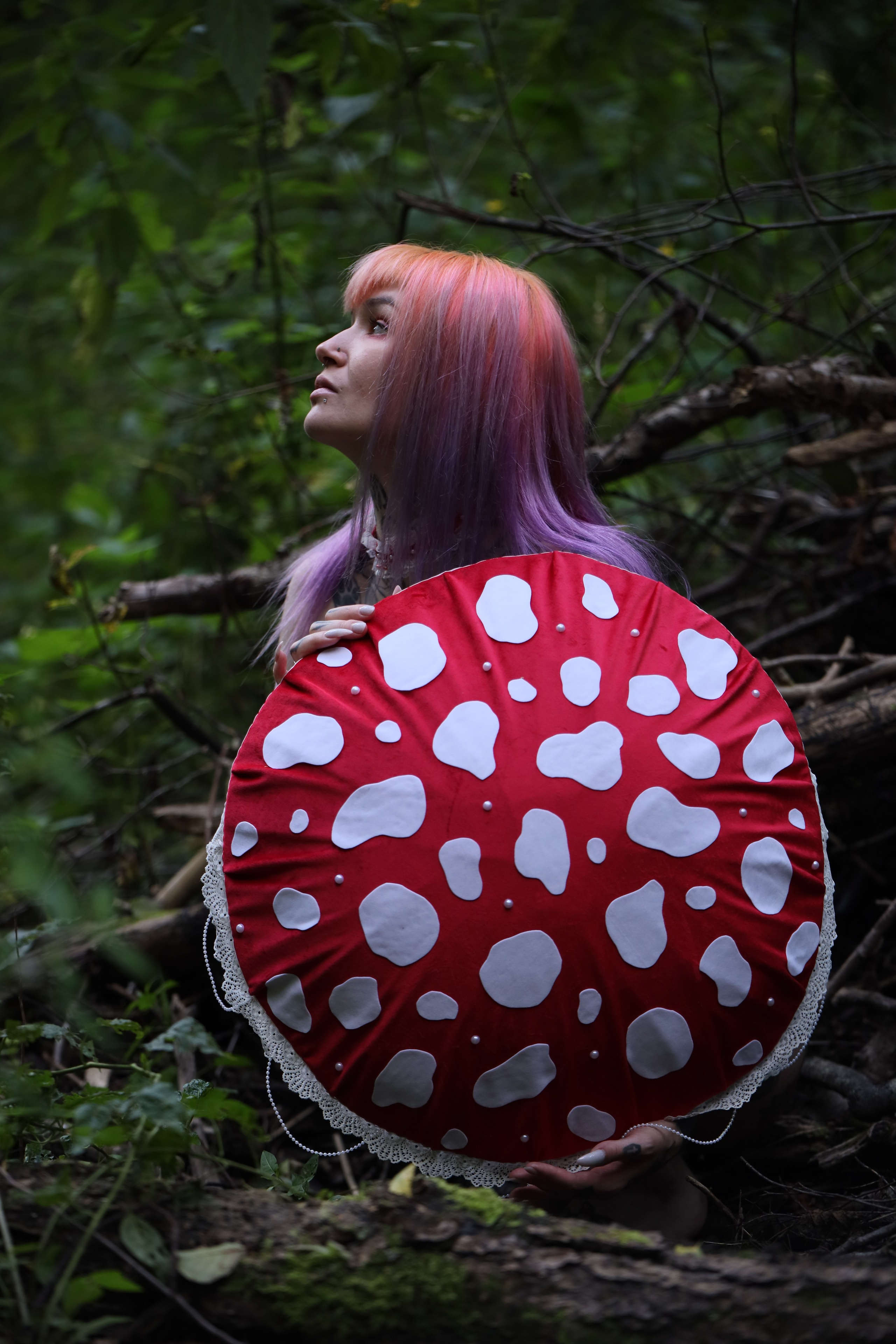 Жизнь гриба. Фотограф Игорь Михайлов