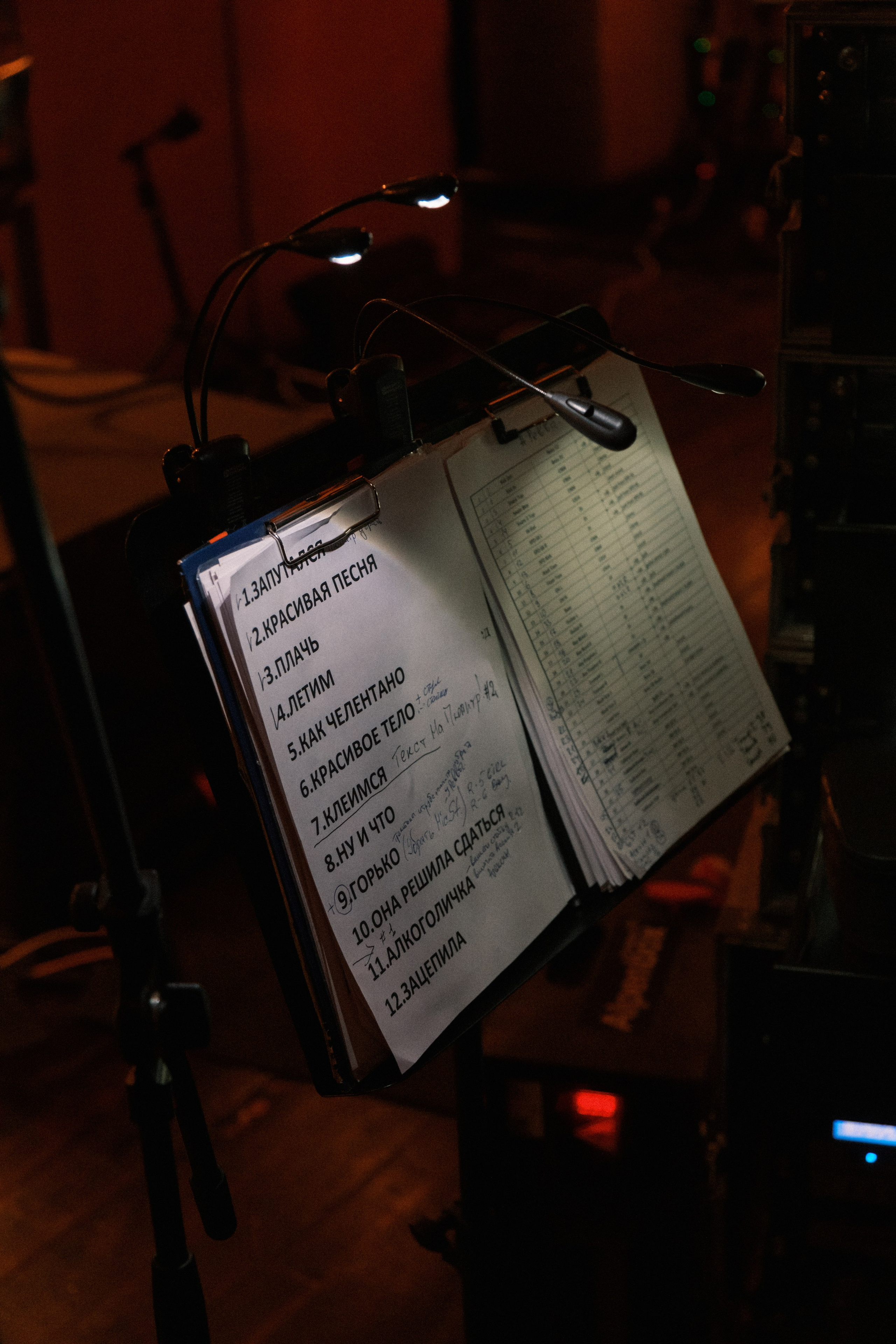 Квартирник у Маргулиса. Александр Ревва (Артур Пирожков). Профессиональный фотограф в Москве и МО Денис Кулешов