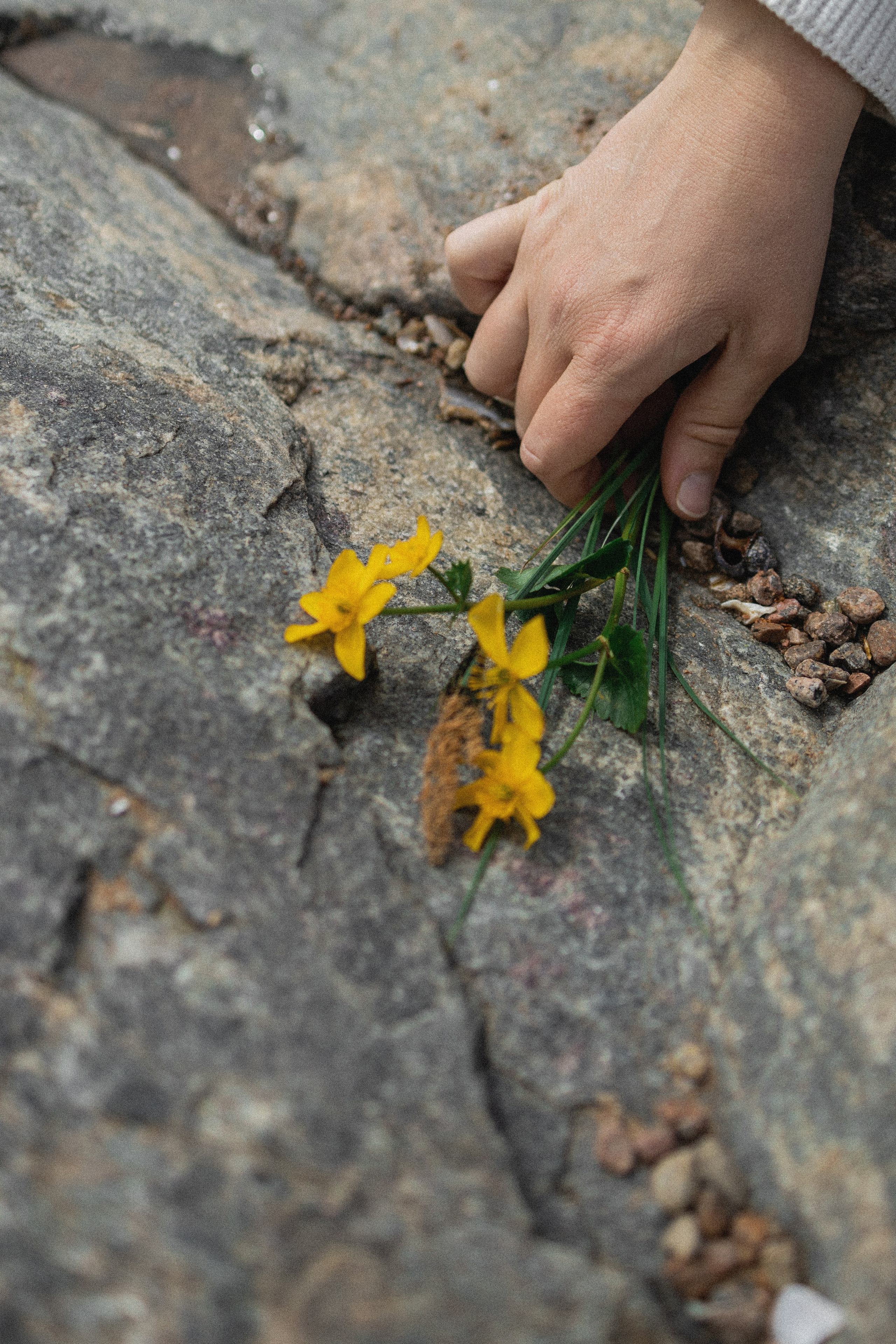 Эстетика П р о Я в л е н и я. Виноградова Маргарита. Фотограф P r o Явления