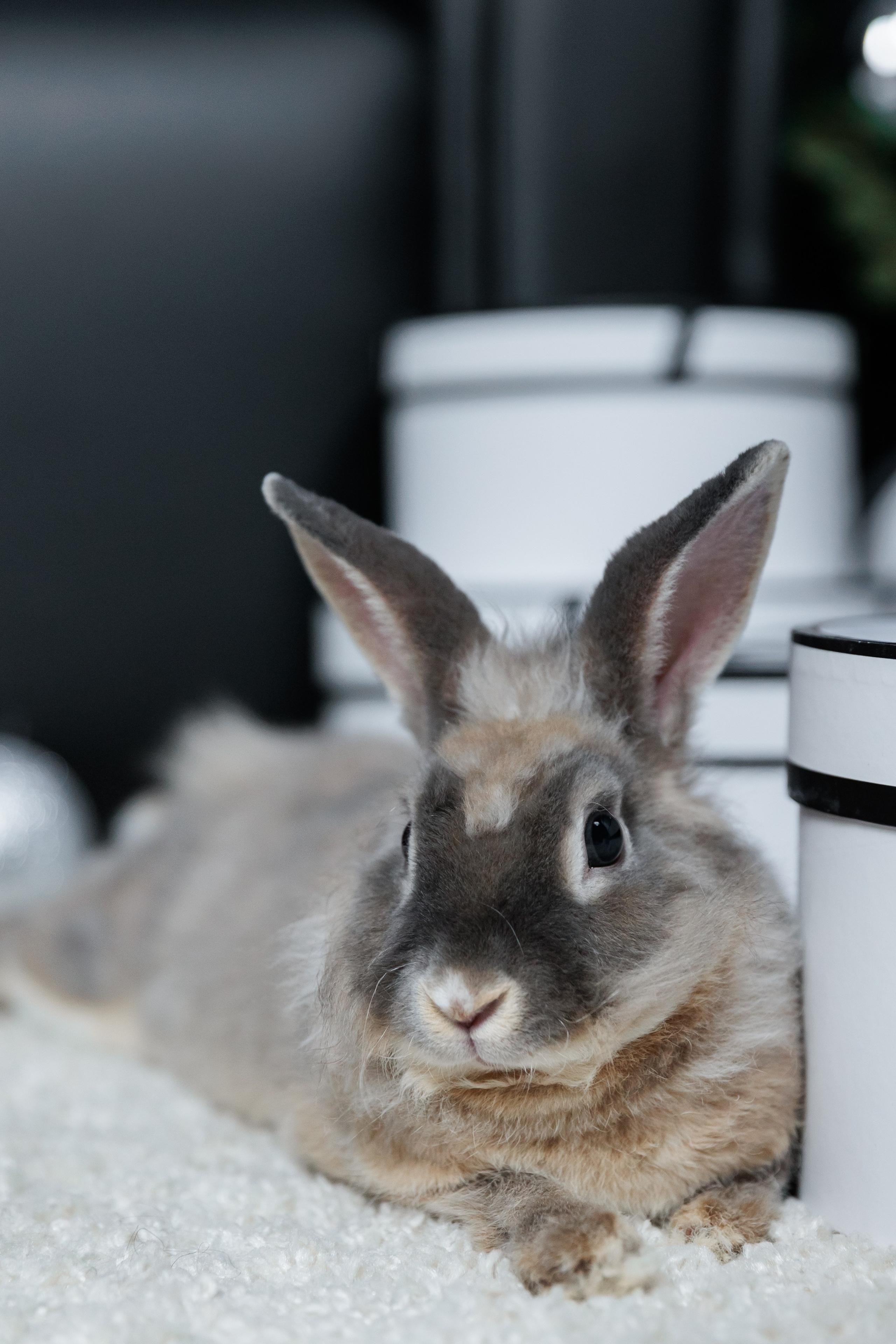 РОЖДЕСТВО. Фотограф семейных, детских, репортажных съёмок г. Уссурийск-Владивосток
