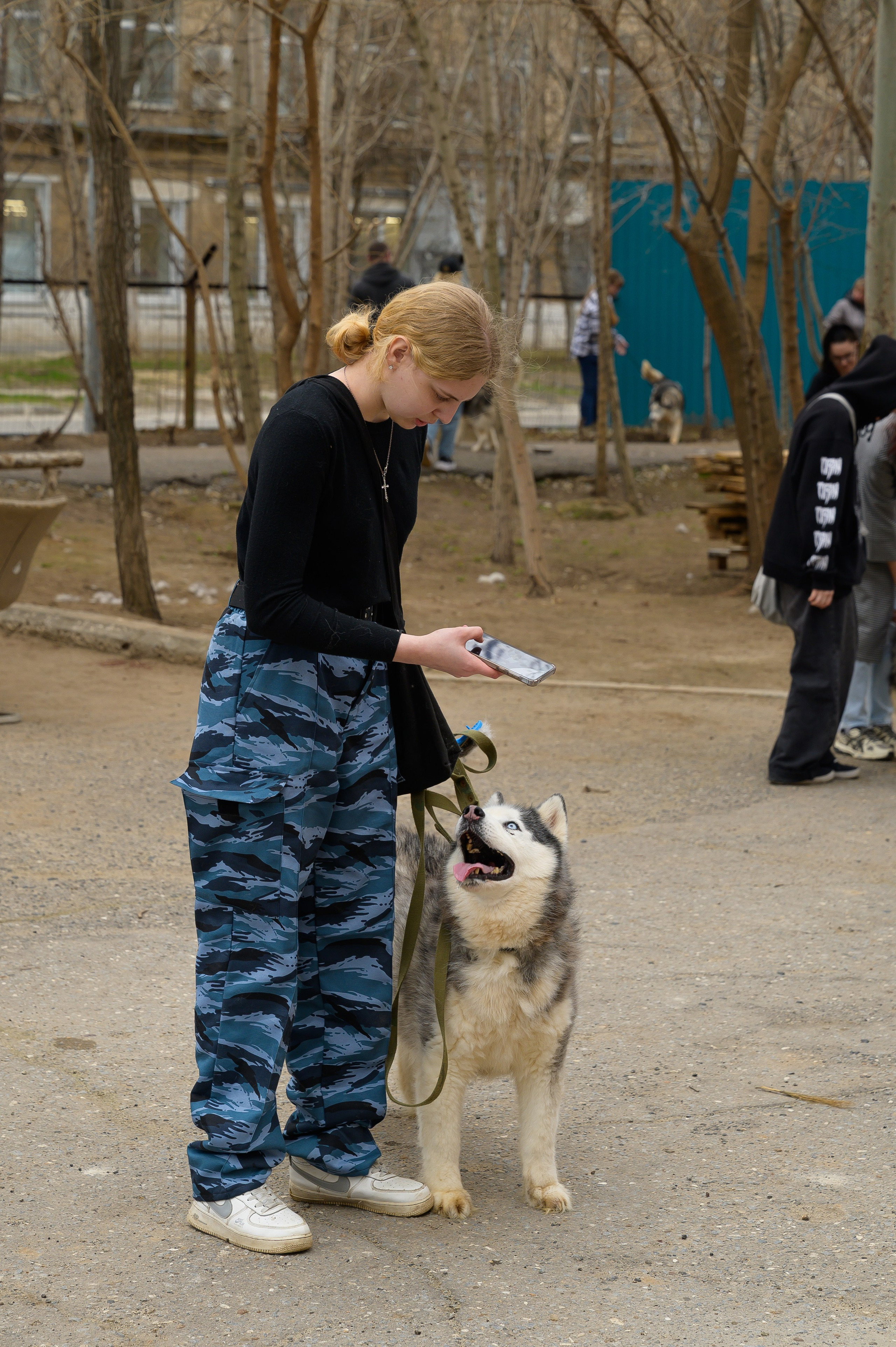 Открытие приюта для собак породы Хаски «Хаски дом»