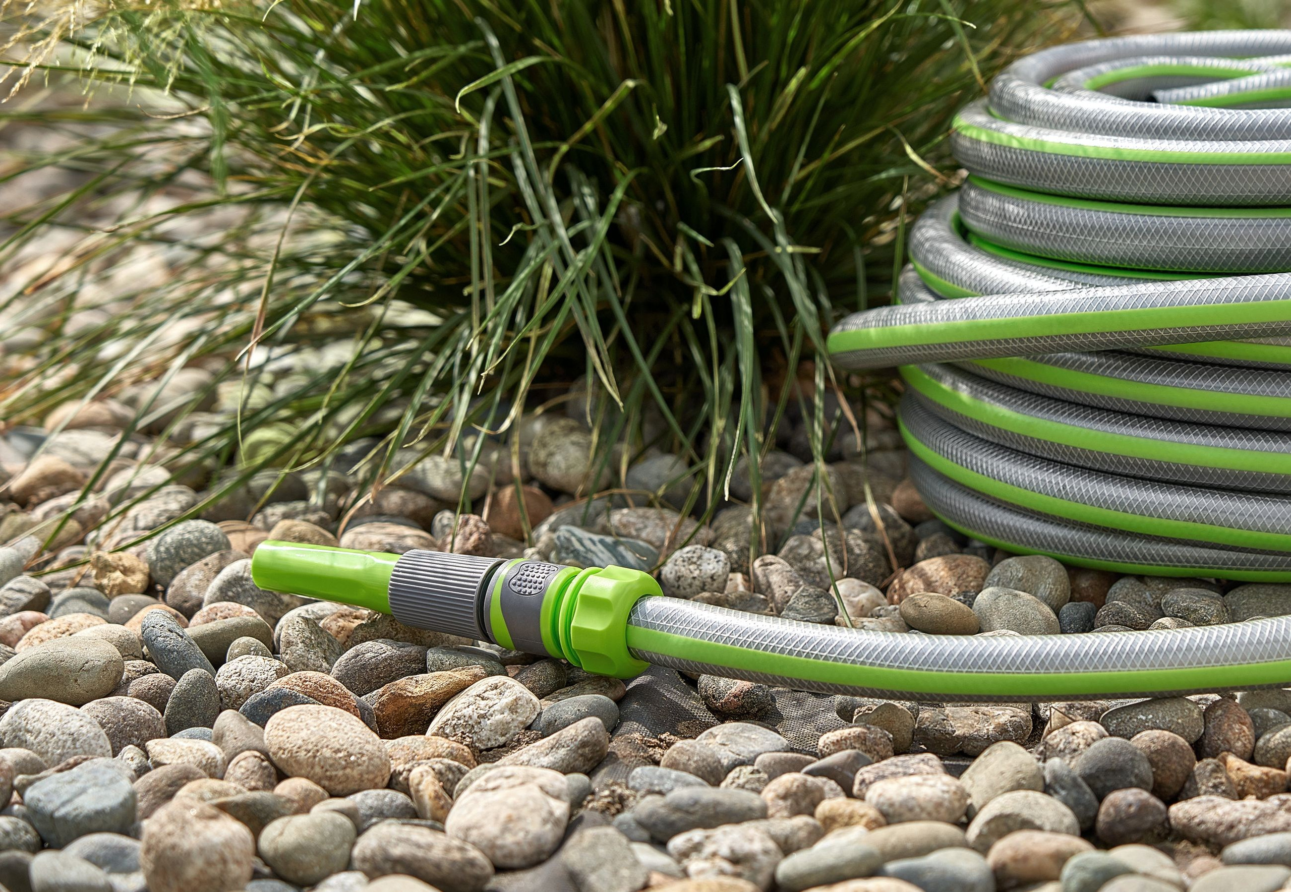 Without PROCESSING. Max Matvich and Victoria Basova are professionals in their field