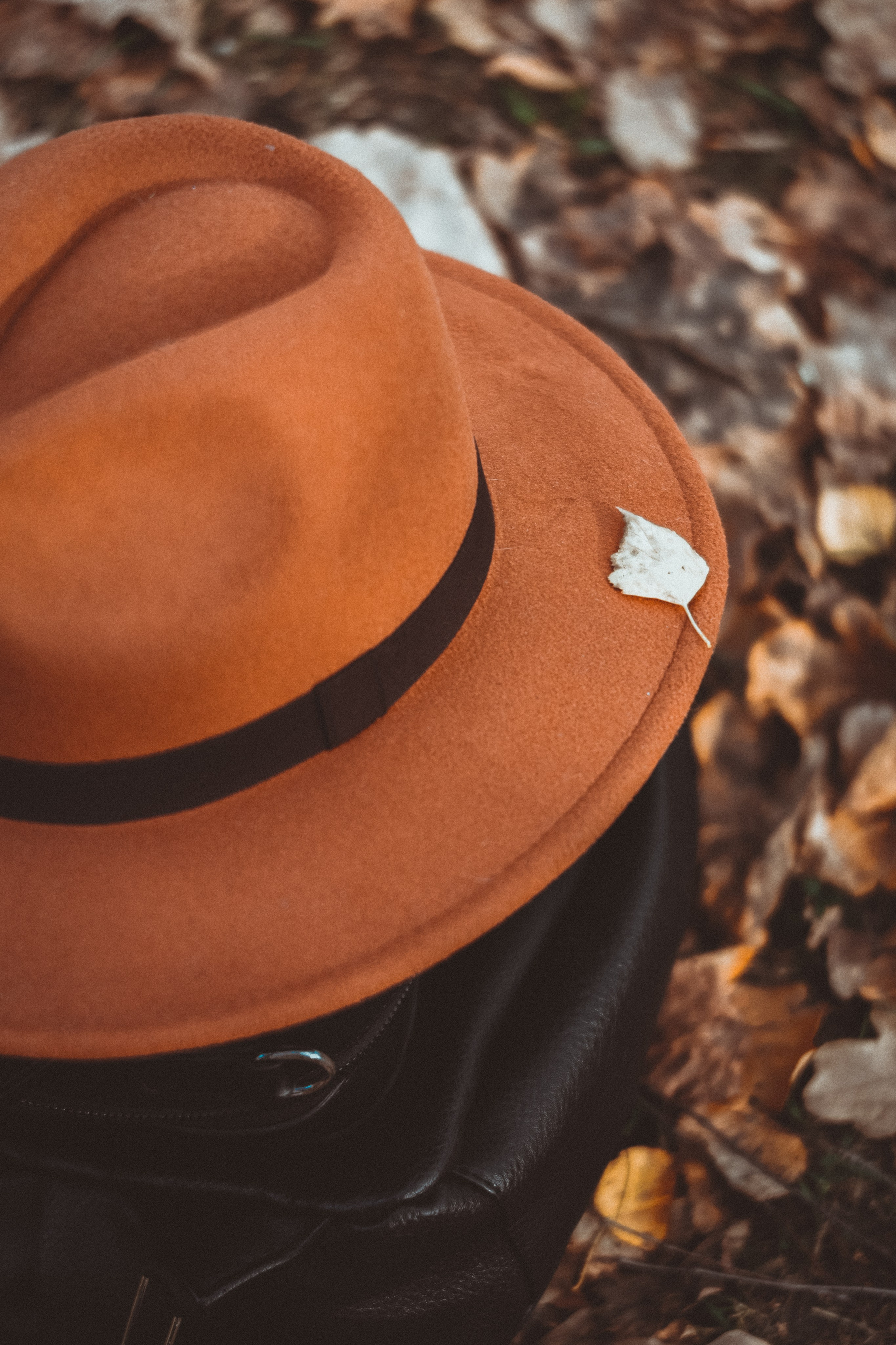 Фотопрогулка с Екатериной. Фотограф Тюркан Мария | Ярославль Москва