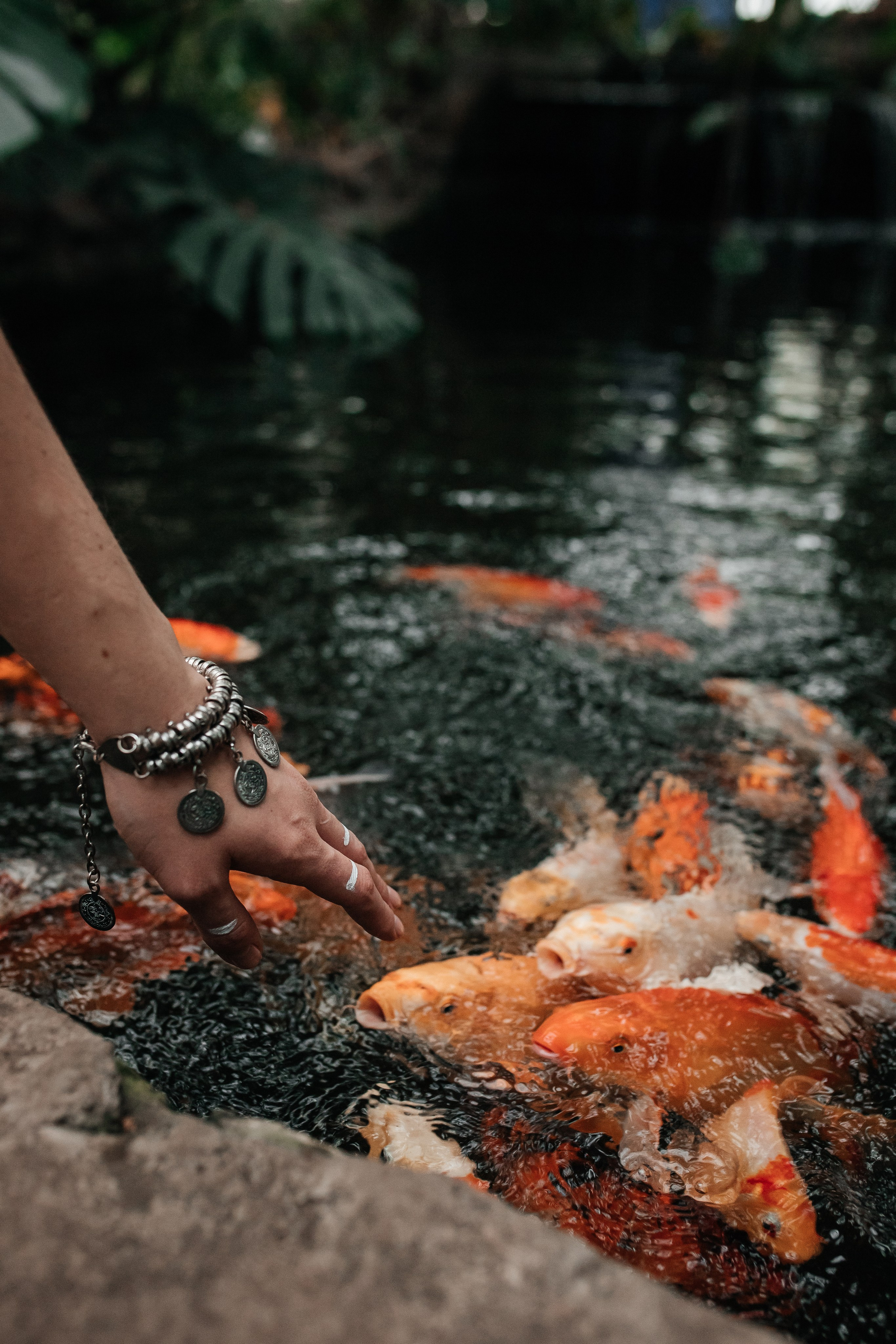 Даша. Фотограф в Томске Ирина Павлуцкая