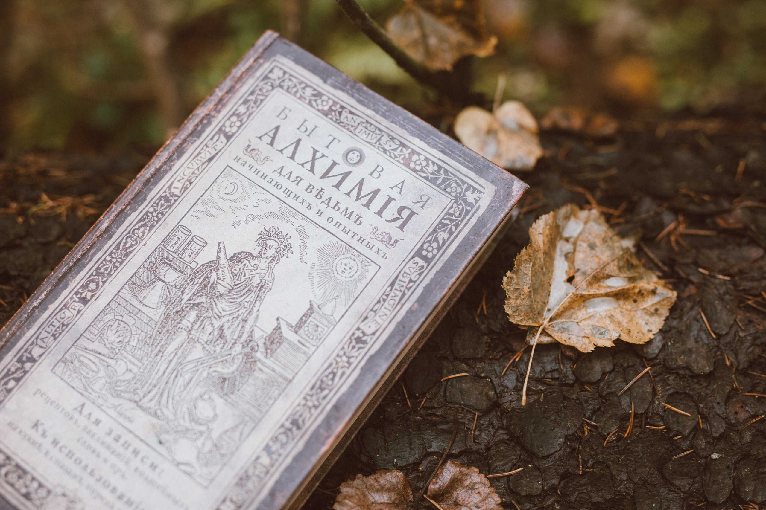 SIROTINS FAMILY. Фотограф Наташа Румянцева