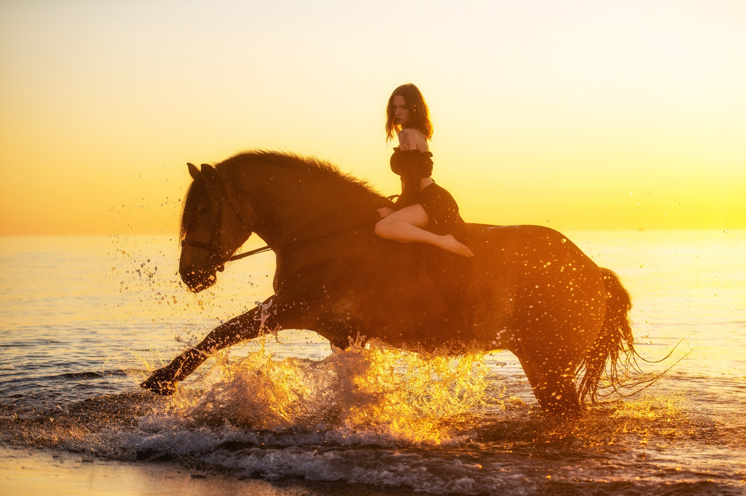 Побережье Балтийского моря. Фотограф с лошадьми в Калининграде Татьяна Ларина