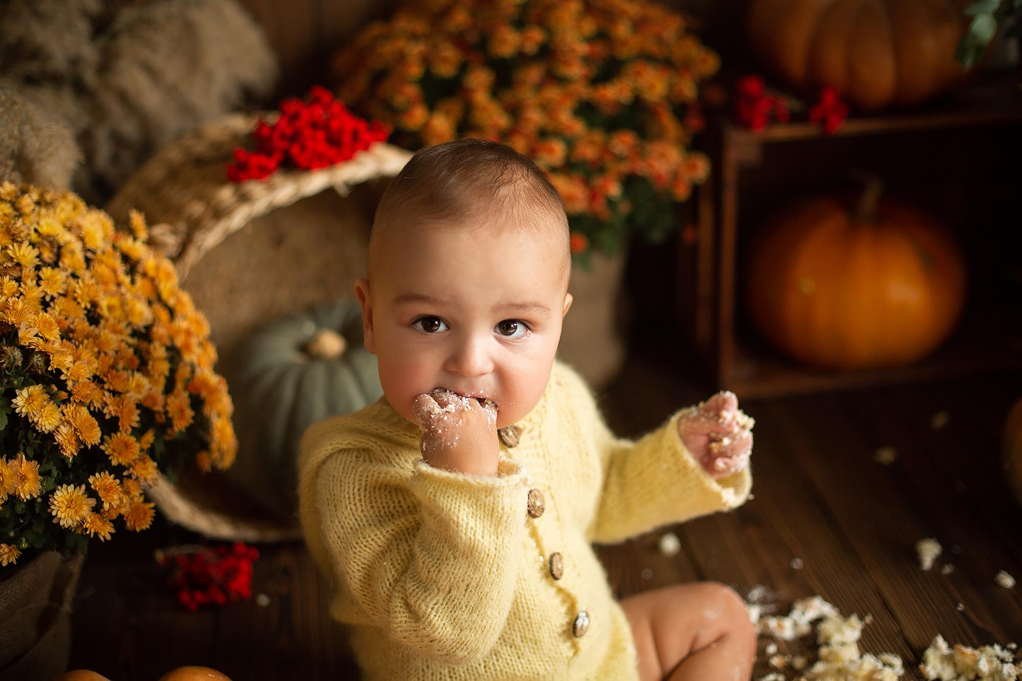 Стилизованная фотоссесия первого годика малыша. Семейный и детский фотограф в Сочи Наталья Вербицкая
