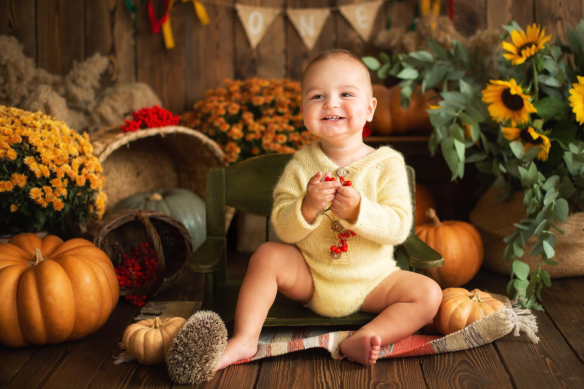 Стилизованная фотоссесия первого годика малыша. Семейный и детский фотограф в Сочи Наталья Вербицкая