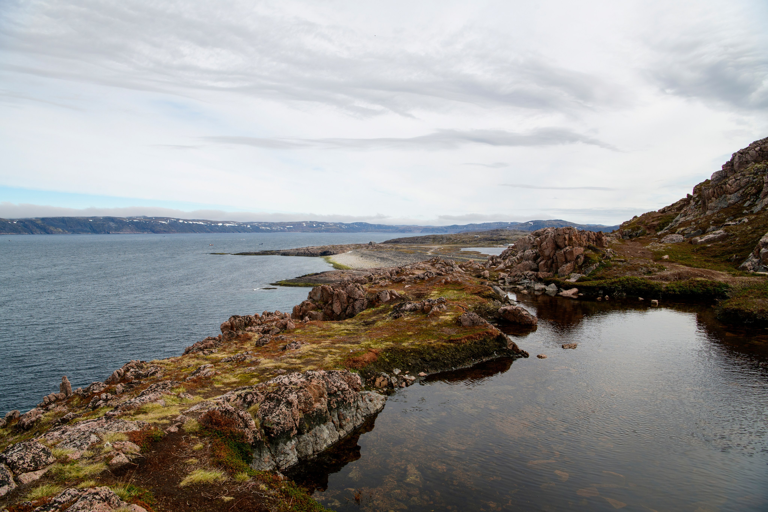 Мурманская область. Июнь 2024. Фотограф Сергей Пупонин