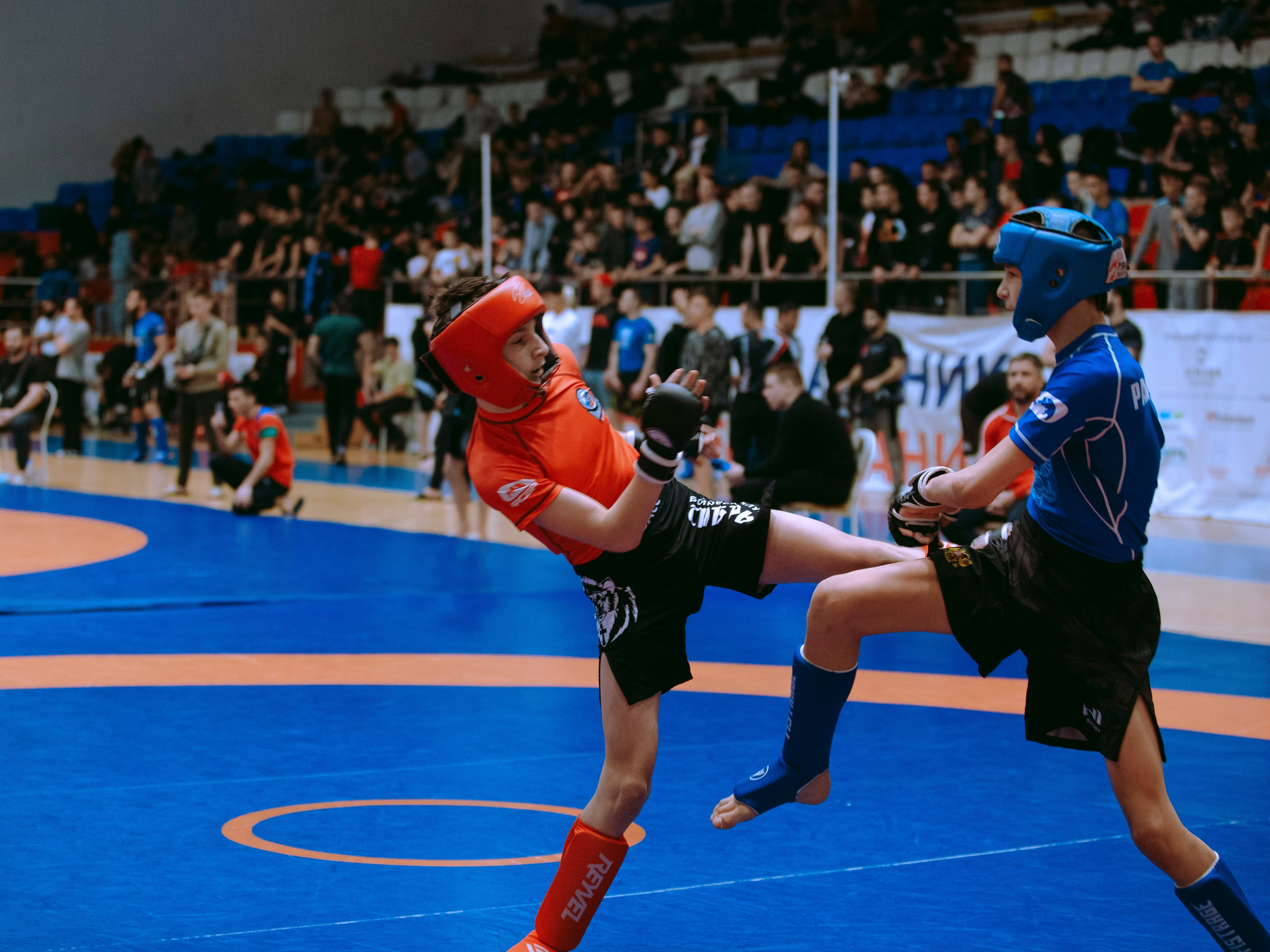 ПАНКРАТИОН | Чемпионат и первенство СФО | март `24. Портретный фотограф в Москве Дарья Цезария