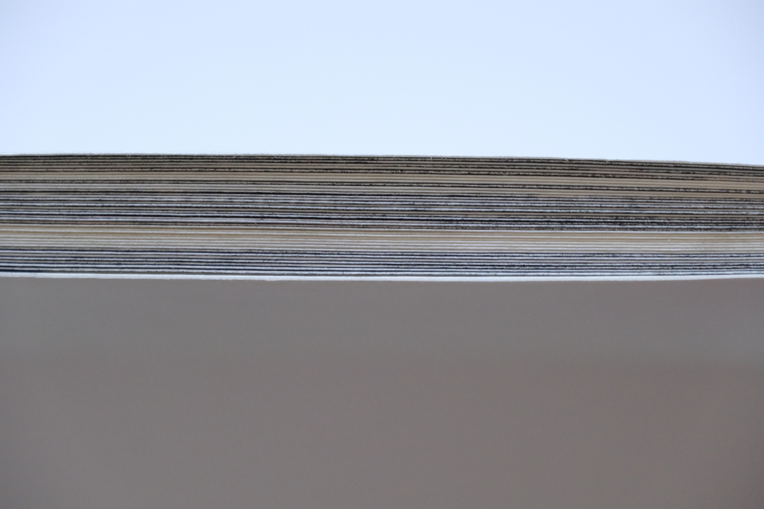 Липкий пол [книга]. Аня белка — художница и фотограф