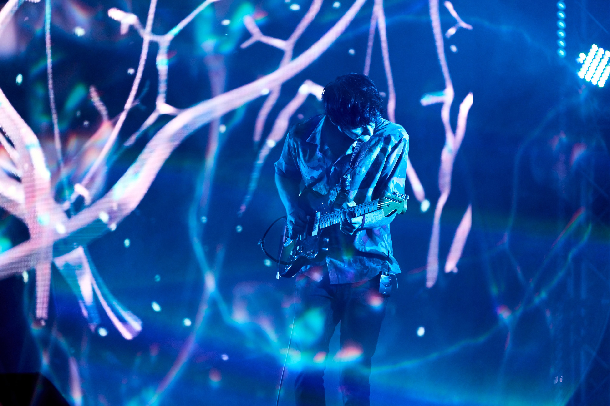 ДЕЛЬФИН / ЗЕЛЕНЫЙ ТЕАТР / 09.06.2024. Ekhovanov | фото- видеосъемка