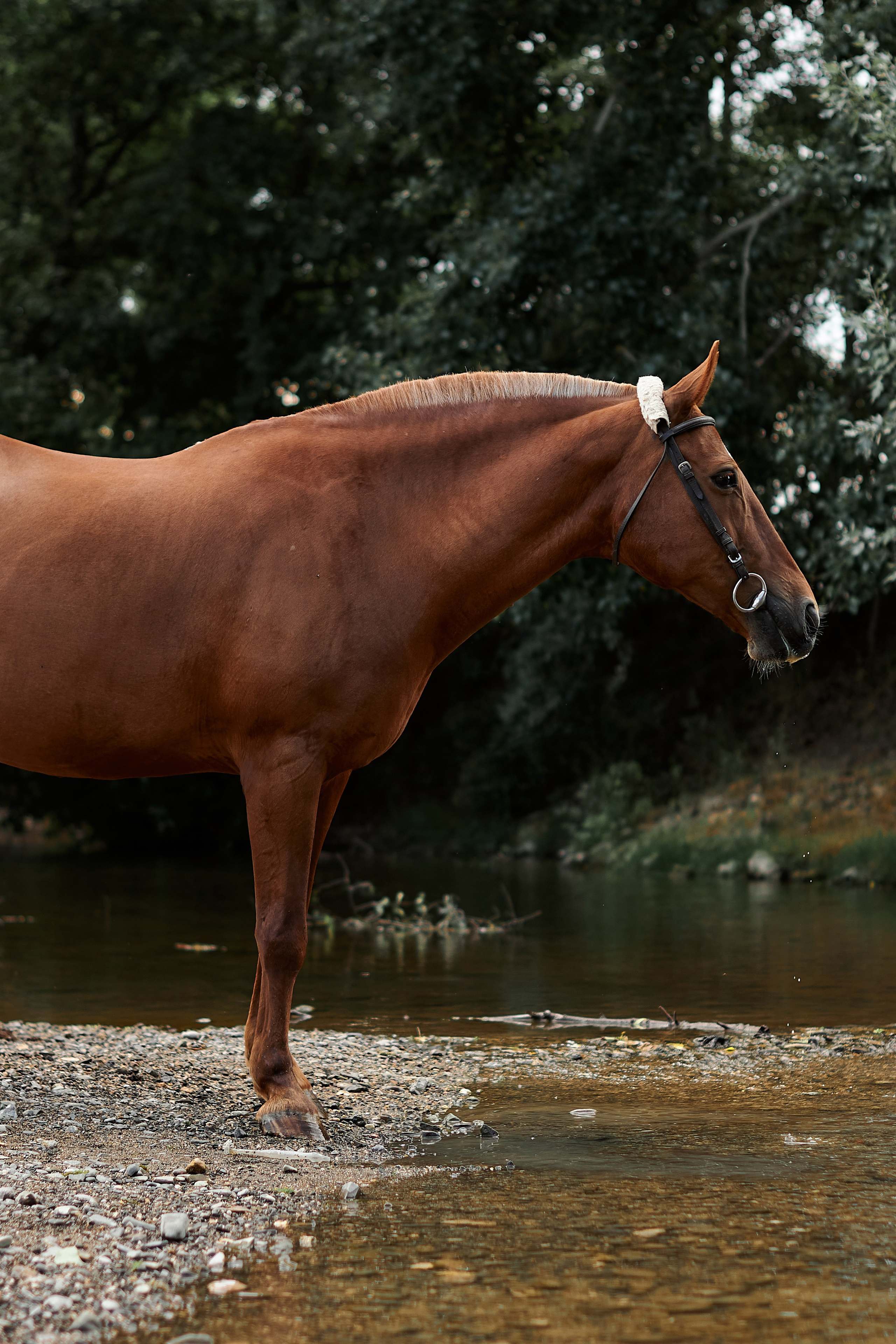 Касандра. Фотограф в Севастополе