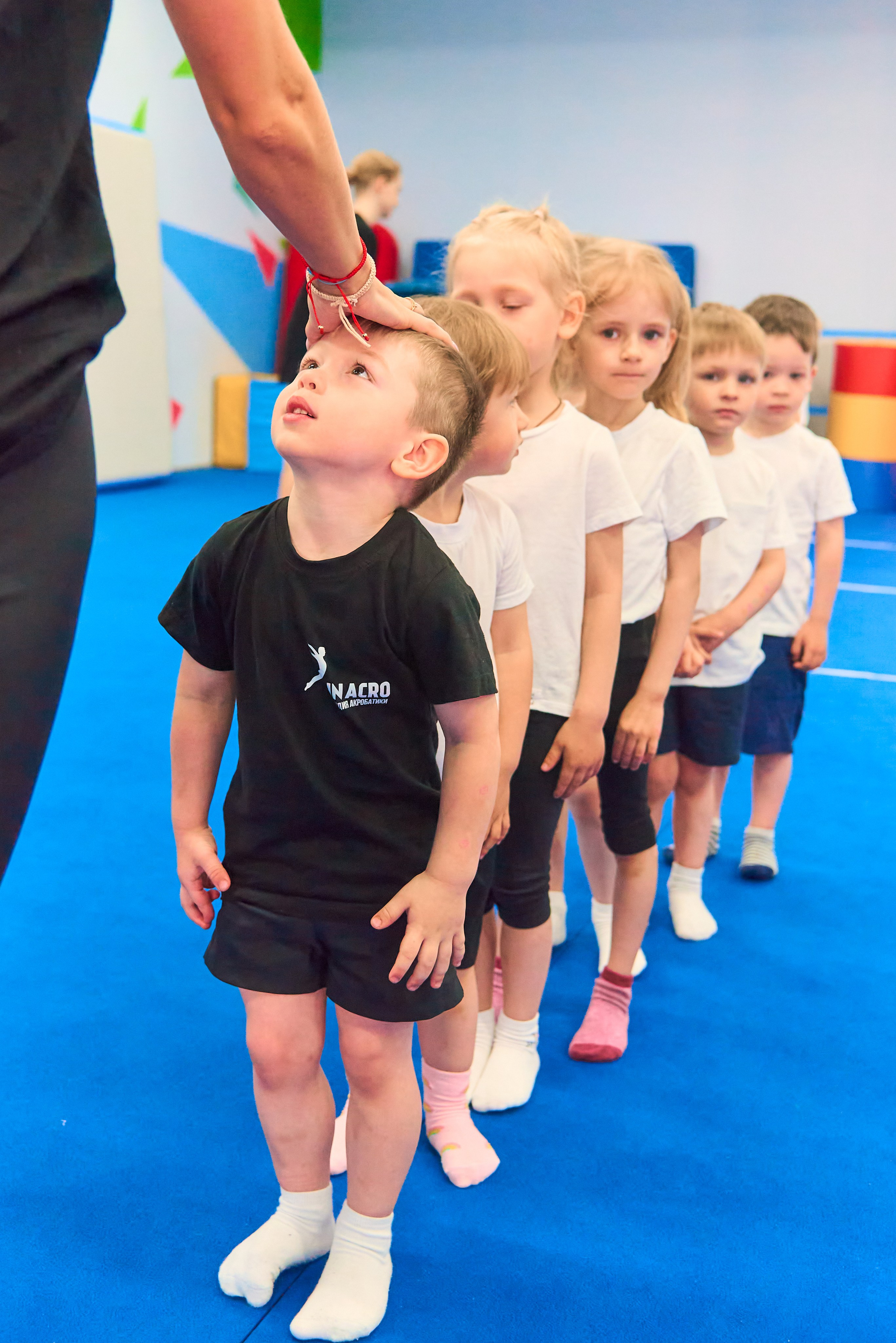 Студия акробатики InAcro, 26.05.24. Наталия Март | Фотограф СПб