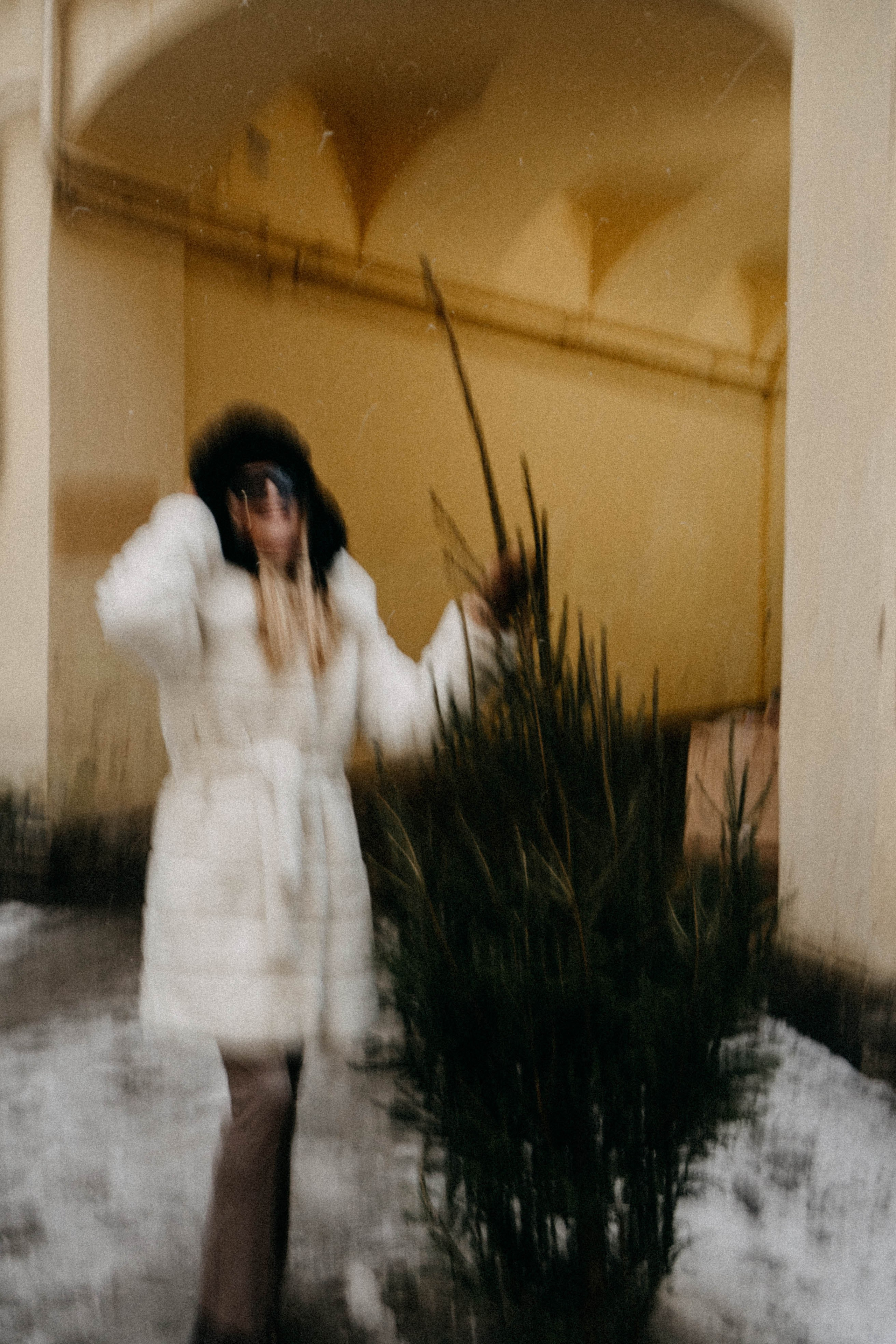 Новогодняя. Профессиональный фотограф, Санкт-Петербург — Виктория Богомолова