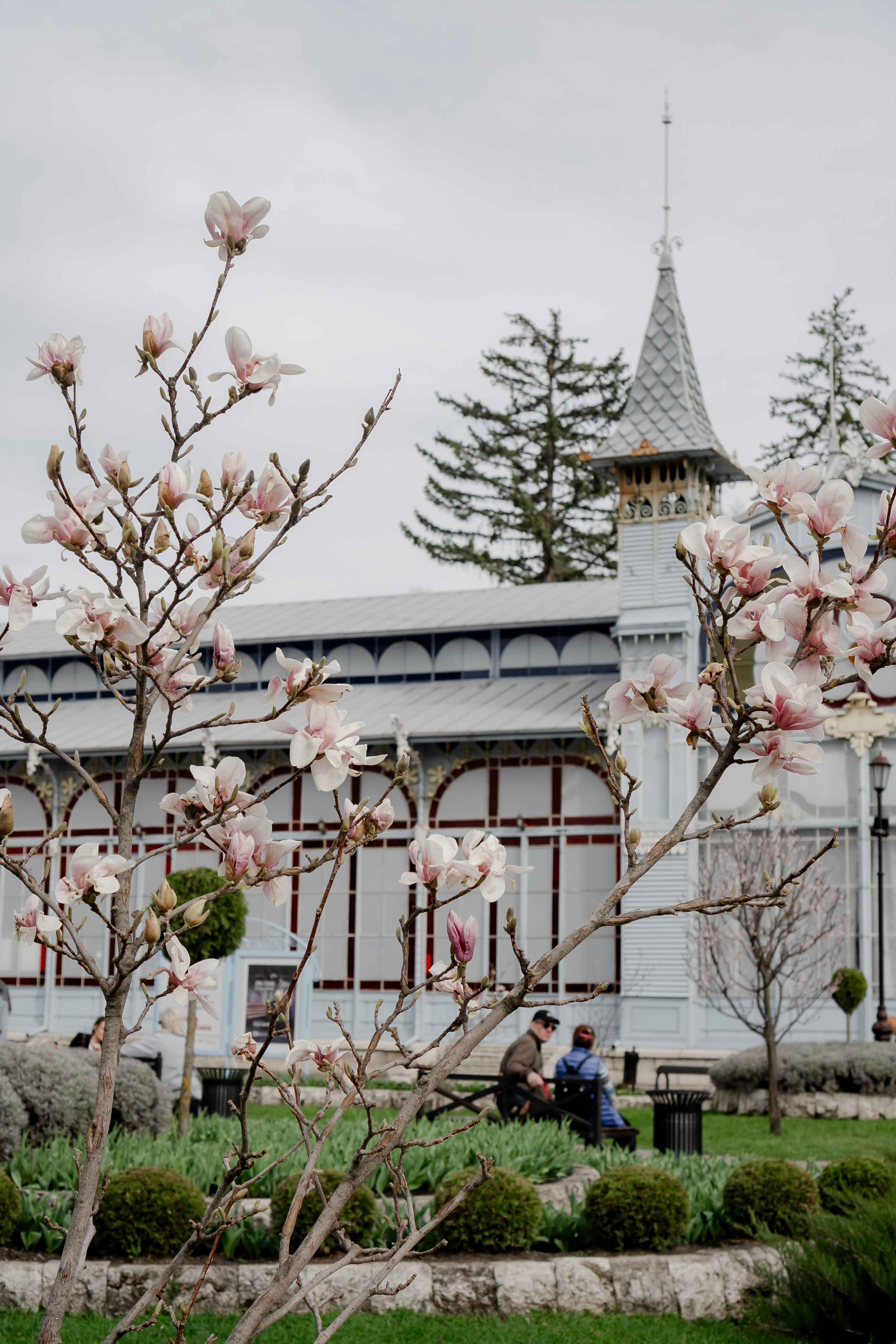 ПЯТИГОРСК. Профессиональный фотограф, Санкт-Петербург — Виктория Богомолова
