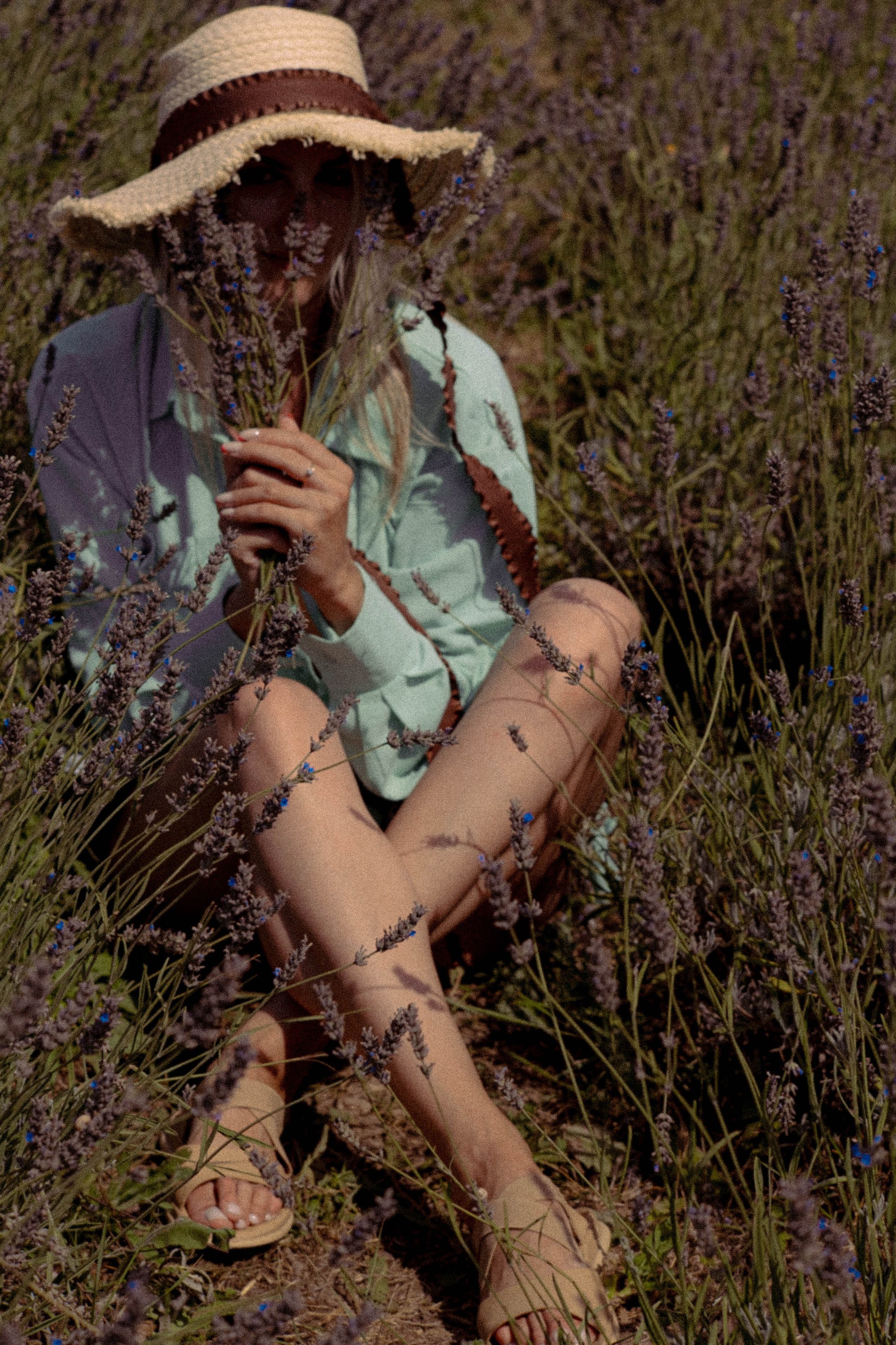 ЛАВАНВОДОВОЕ ПОЛЕ. Профессиональный фотограф, Санкт-Петербург — Виктория Богомолова