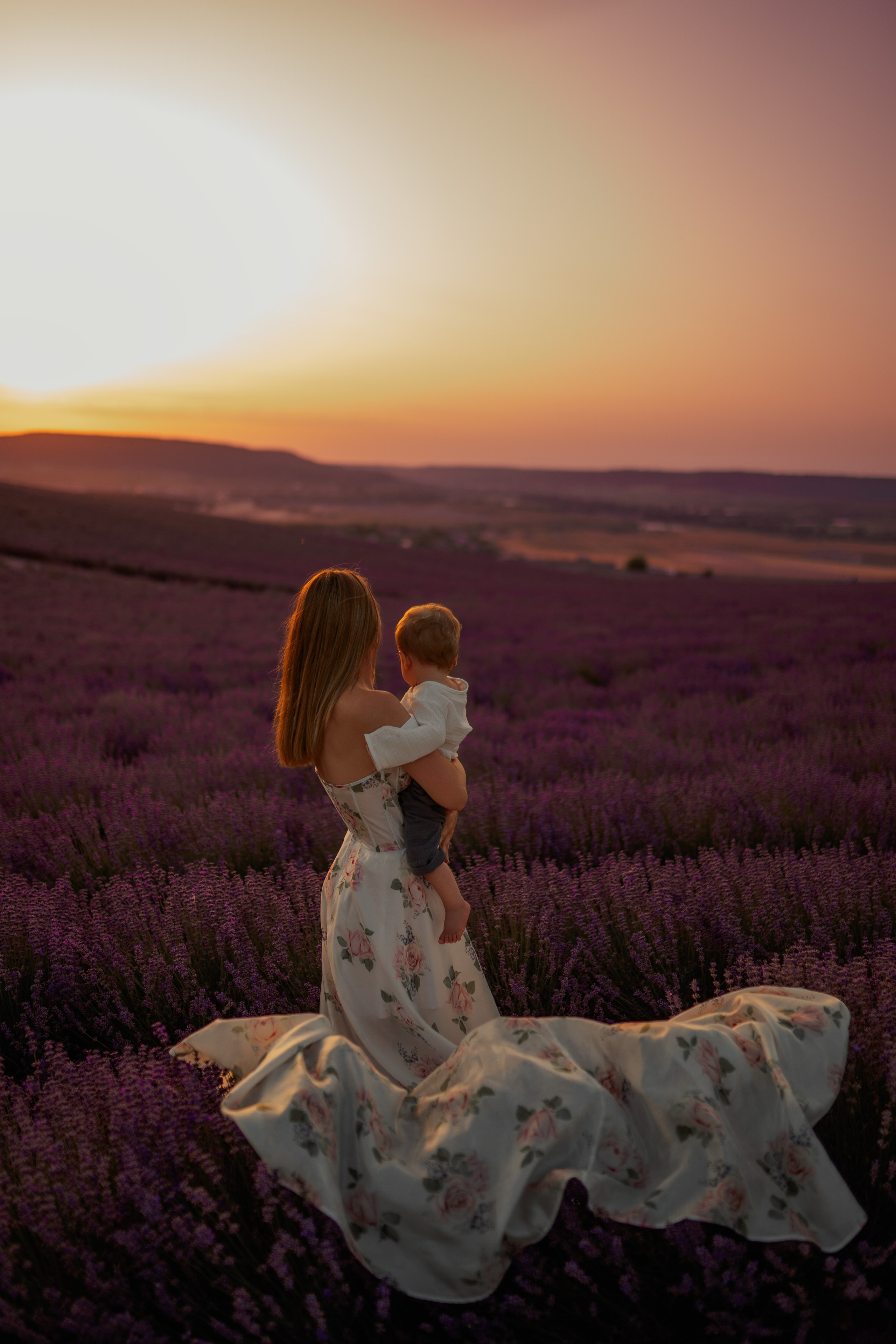 Нежная лаванда. Главная