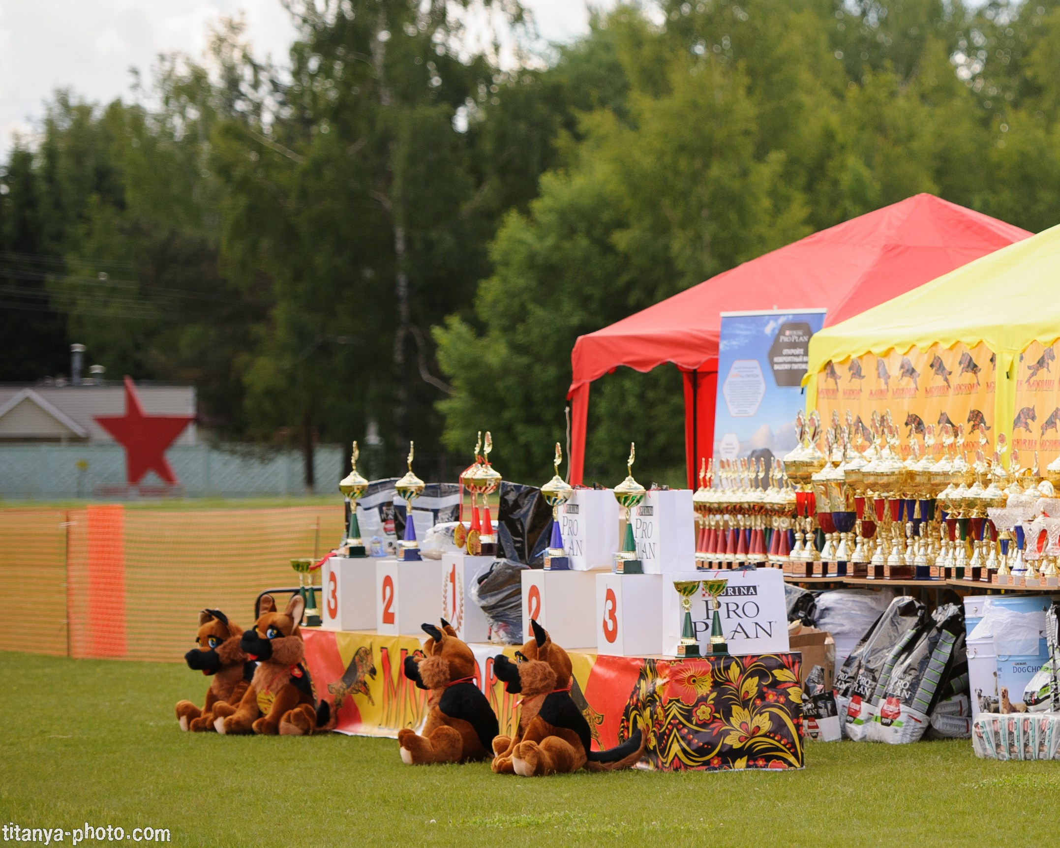 Фотографии с монопородных выставок немецких овчарок. Фотограф собак, фотограф-анималист Аня Титова (Titanya). Москва