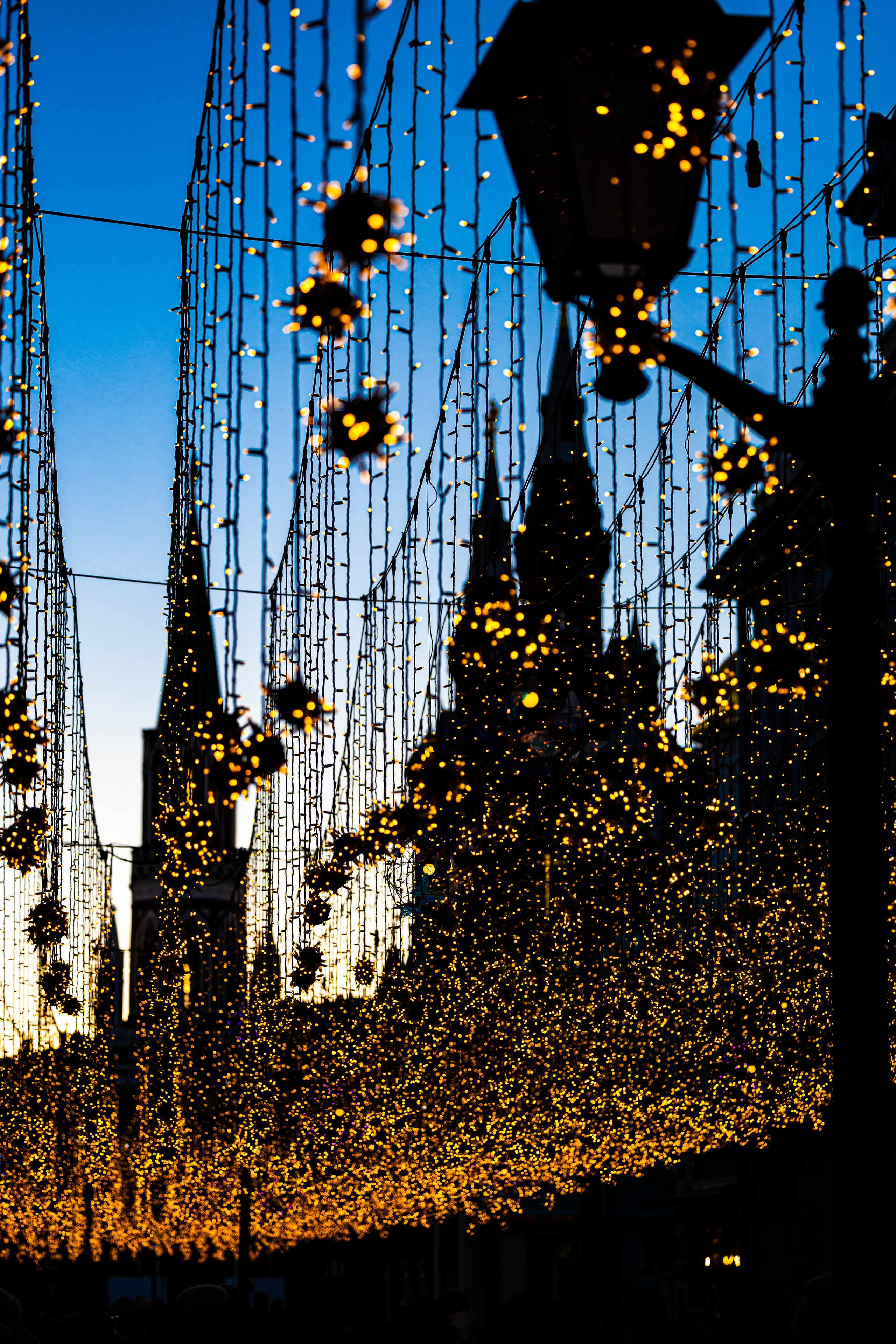 Москва, Январь 2025. Детали. Фотографирую жизнь! Московский фотограф волонтер