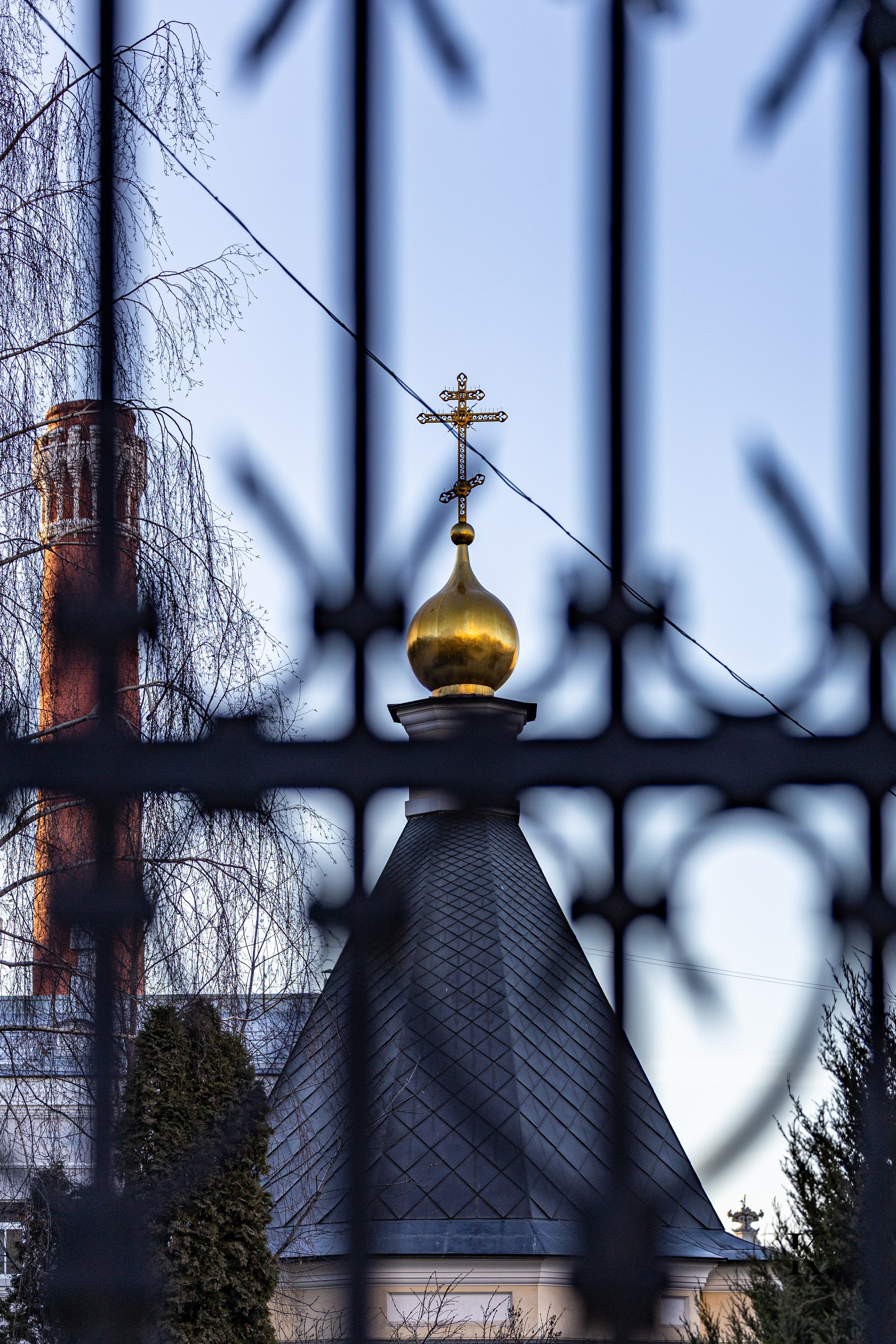 Москва, Январь 2025. Детали. Фотографирую жизнь! Московский фотограф волонтер