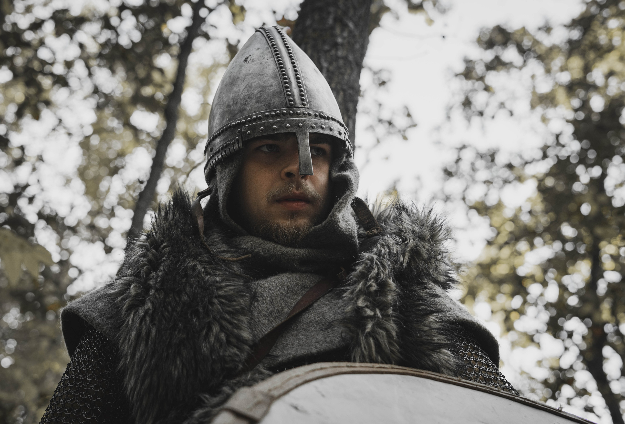 Викинг. Ab extra