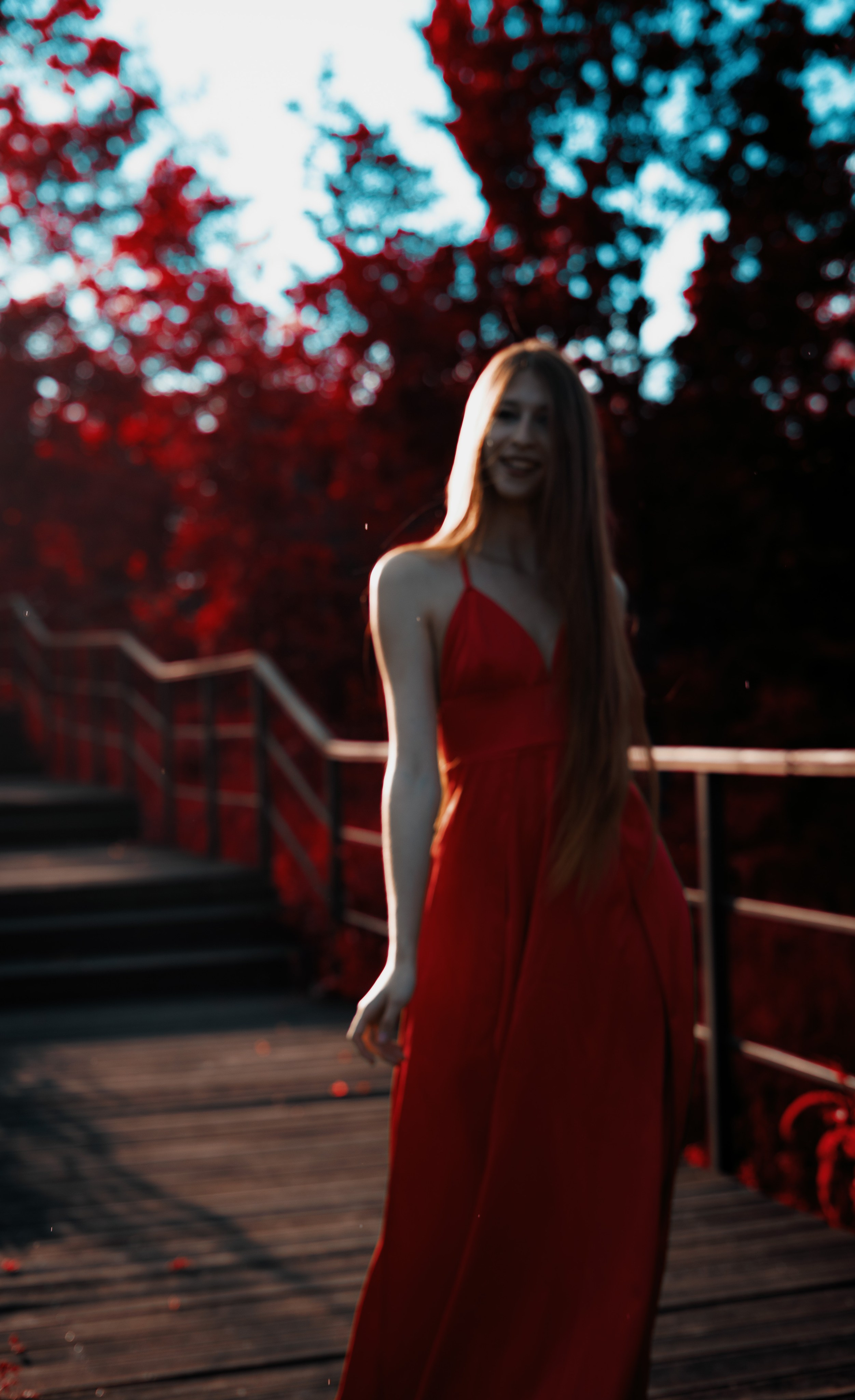 Алые лепестки. Ab extra