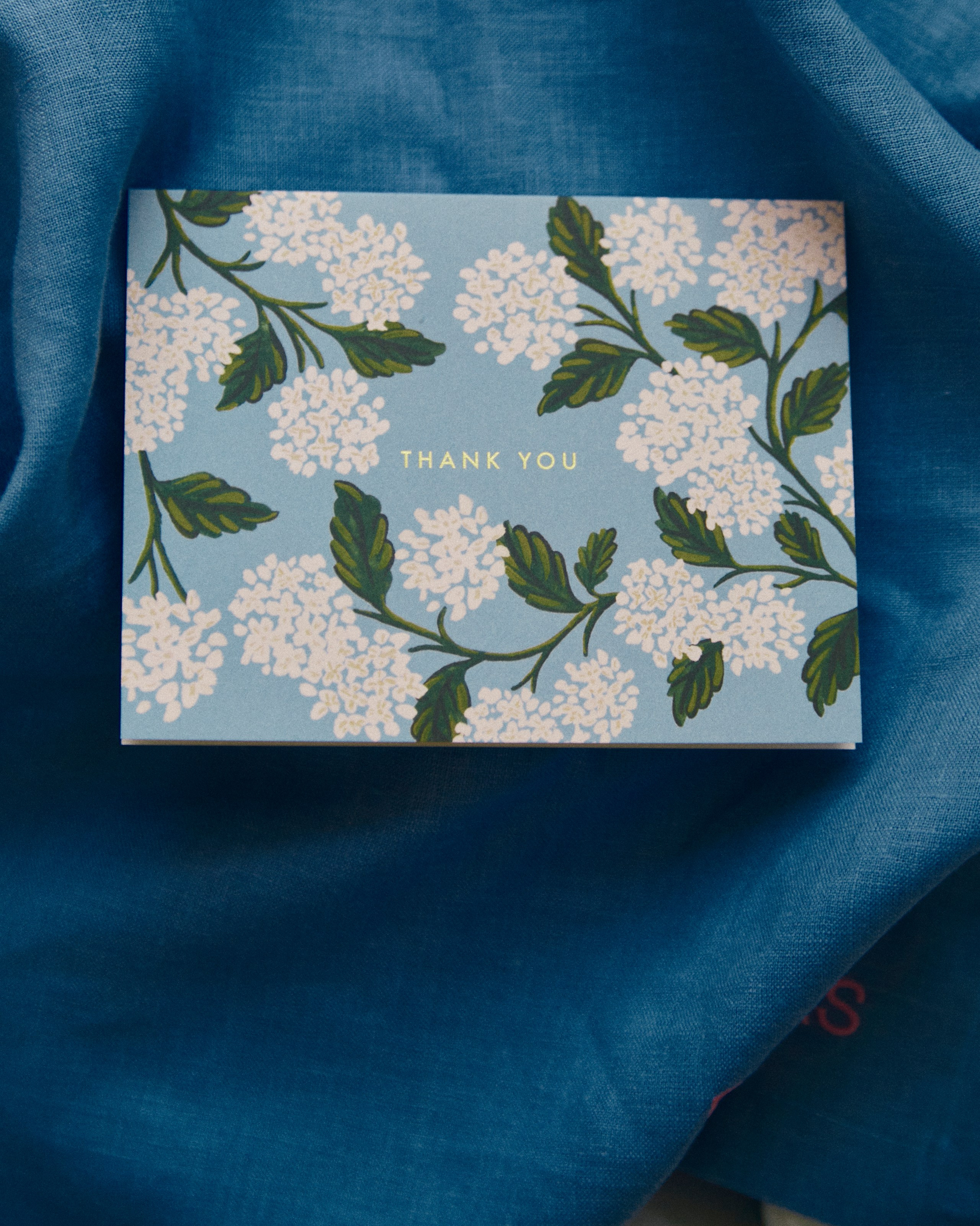 Paper YVN. Egor Plakhotin Photography