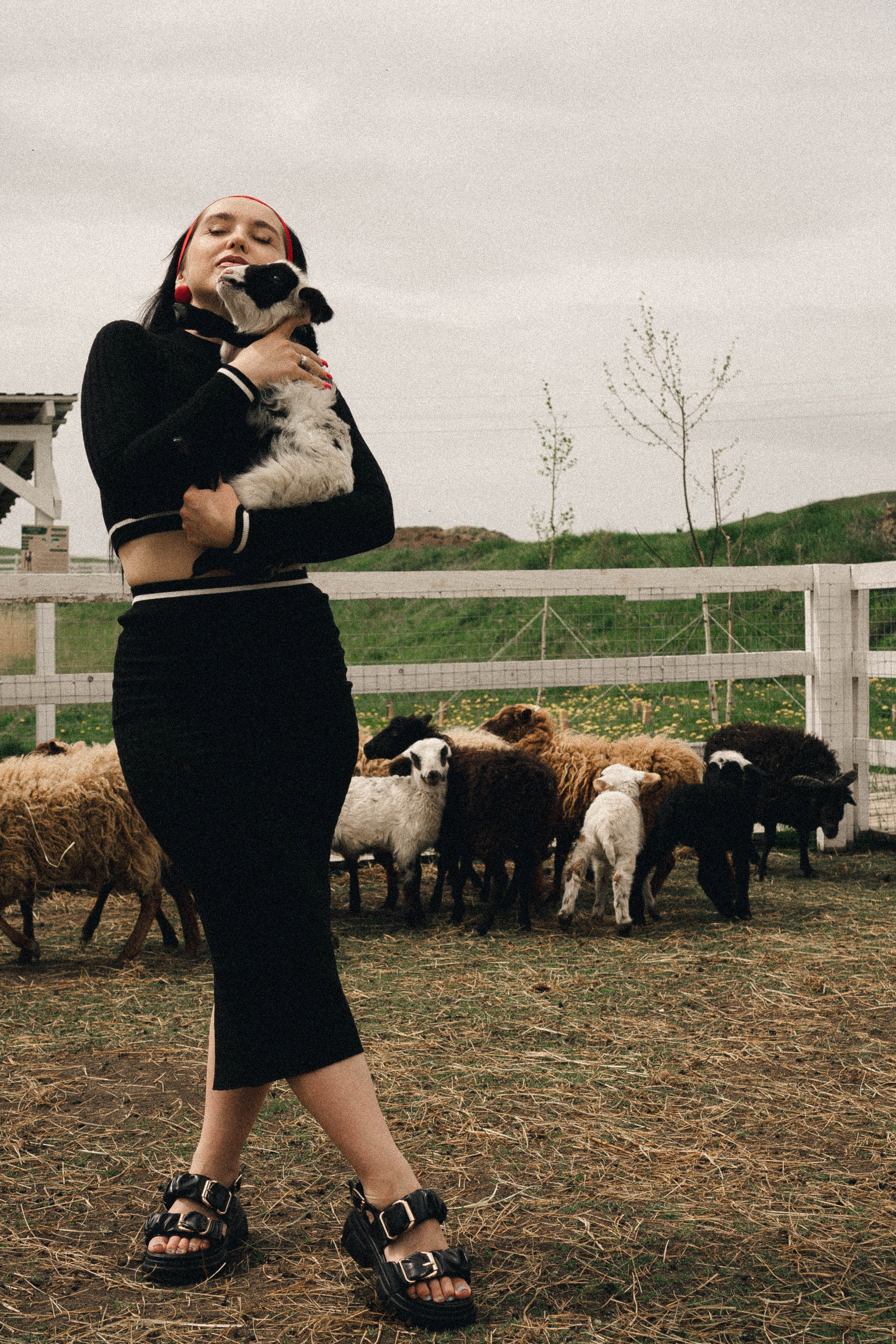 Ферма Альпак. Профессиональный фотограф, Санкт-Петербург — Виктория Богомолова